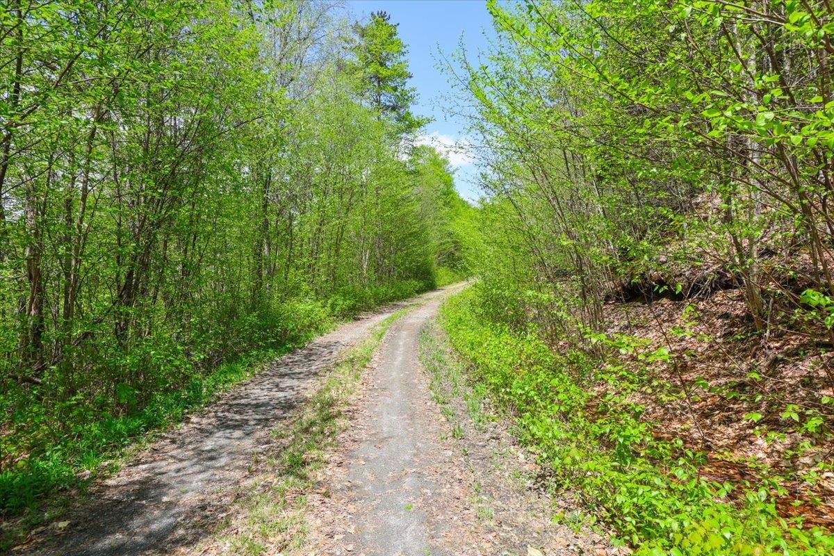 0 Mud Pond Pass Property Photo 5