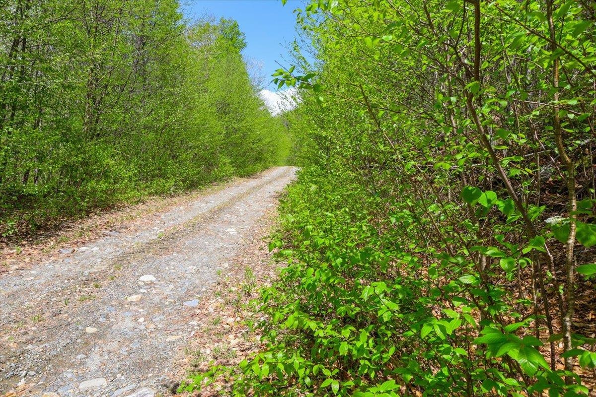 0 Mud Pond Pass Property Photo 6