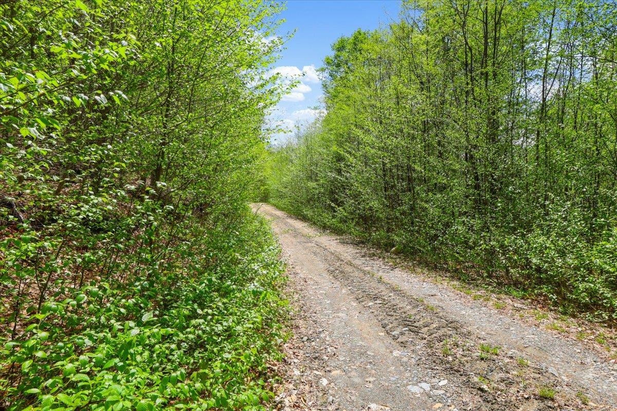 0 Mud Pond Pass Property Photo 7