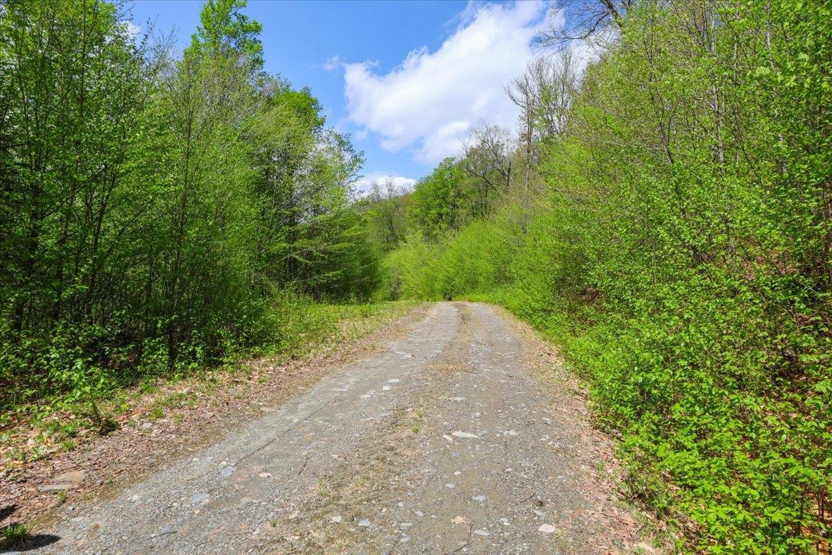 0 Mud Pond Pass Property Photo 8