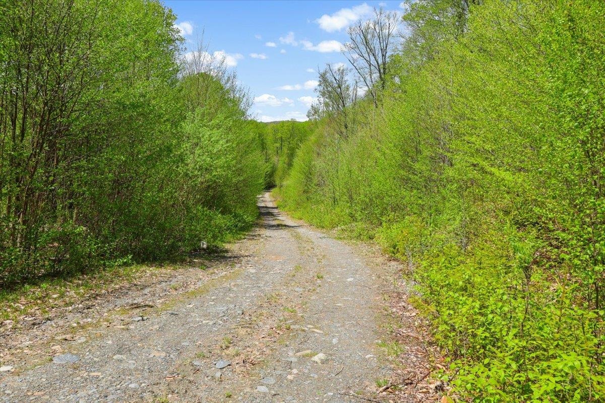 0 Mud Pond Pass Property Photo 9