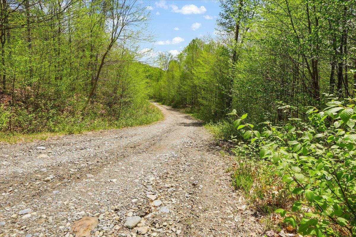 0 Mud Pond Pass Property Photo 12