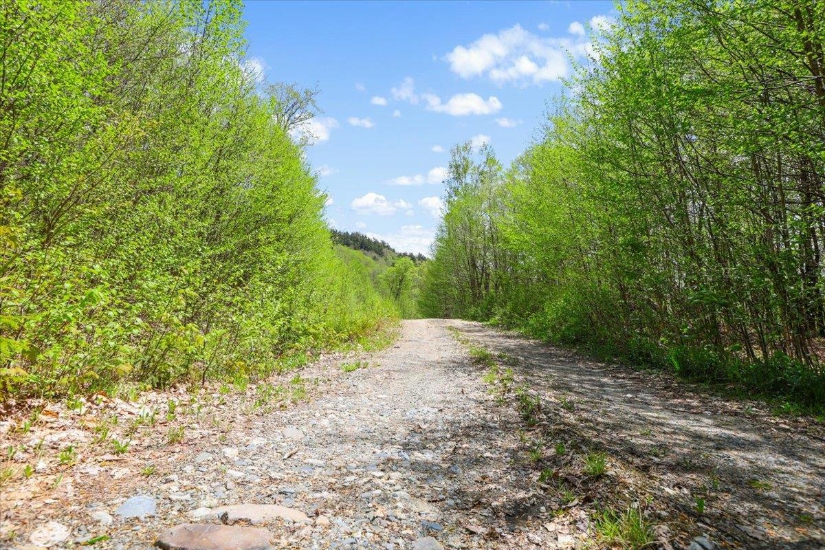 0 Mud Pond Pass Property Photo 13