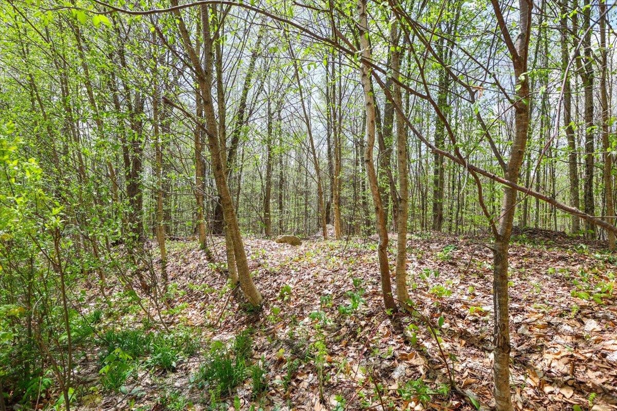 0 Mud Pond Pass Property Photo 14