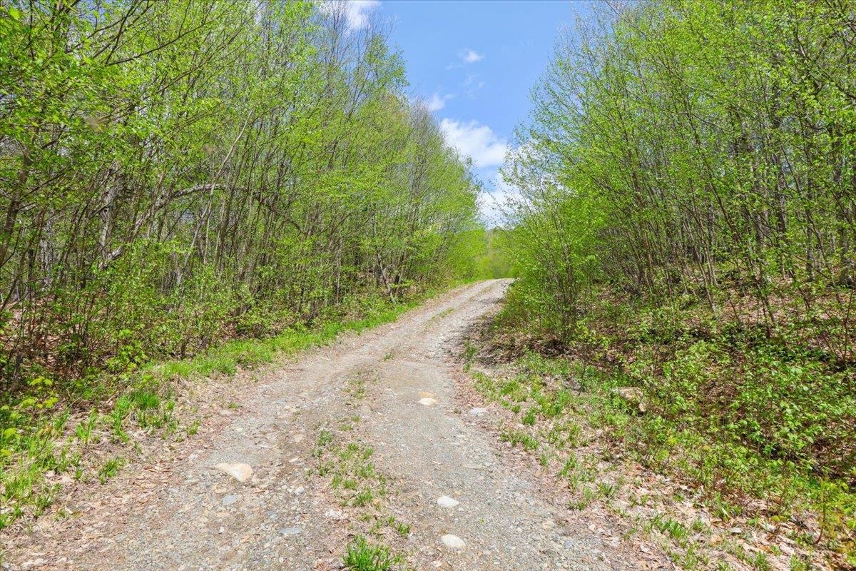 0 Mud Pond Pass Property Photo 15