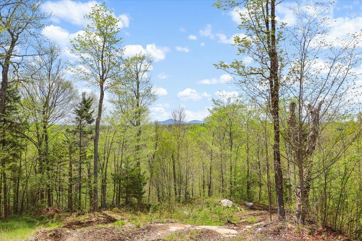 0 Mud Pond Pass Property Photo 18