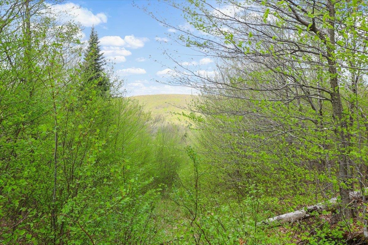 0 Mud Pond Pass Property Photo 19