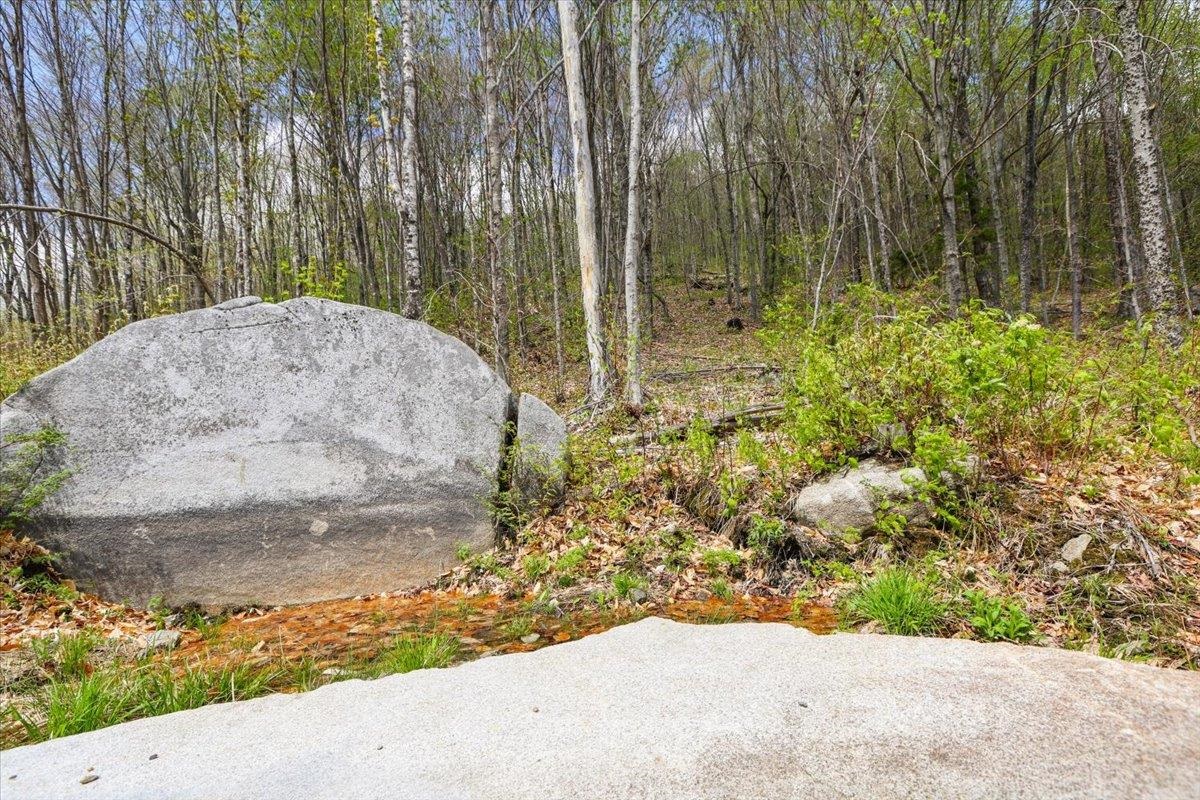 0 Mud Pond Pass Property Photo 21