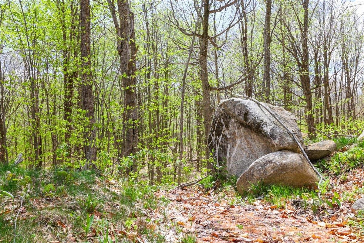 0 Mud Pond Pass Property Photo 22