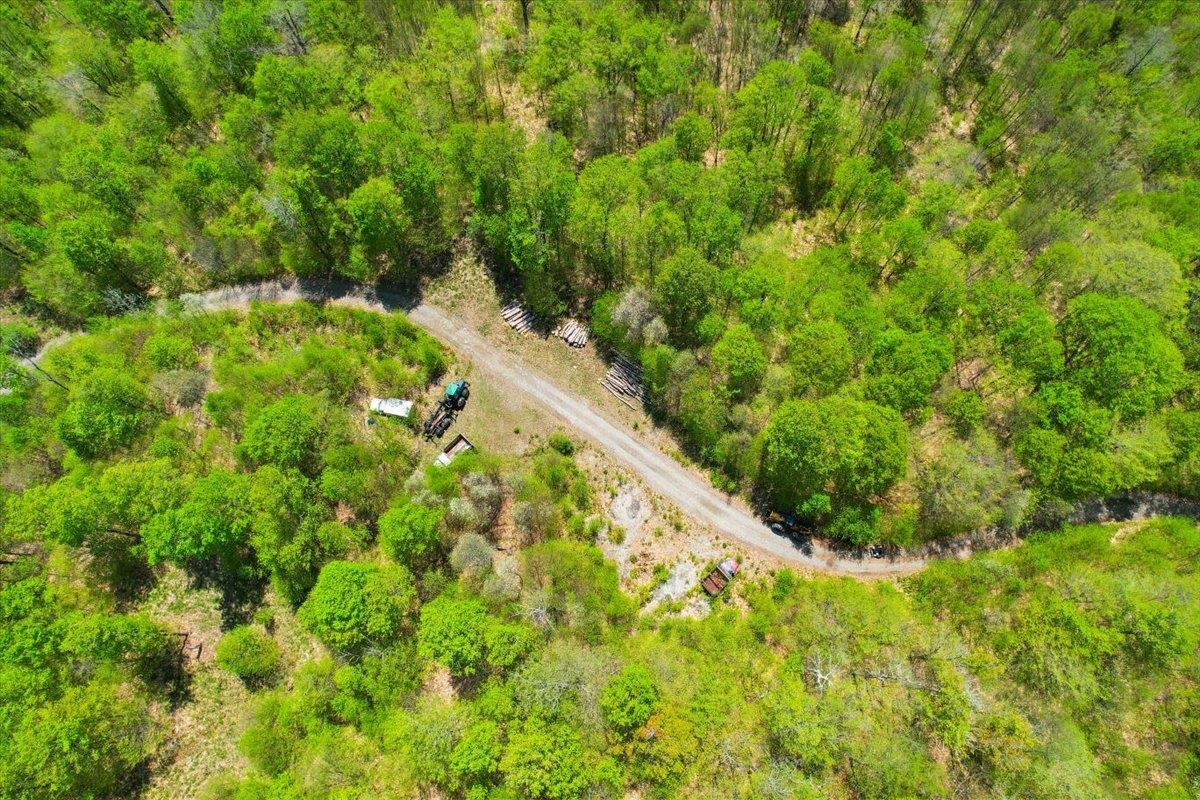0 Mud Pond Pass Property Photo 27