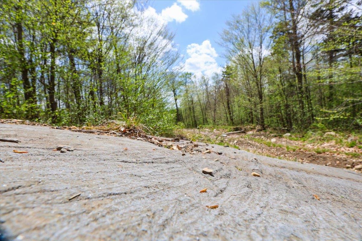 0 Mud Pond Pass Property Photo 28