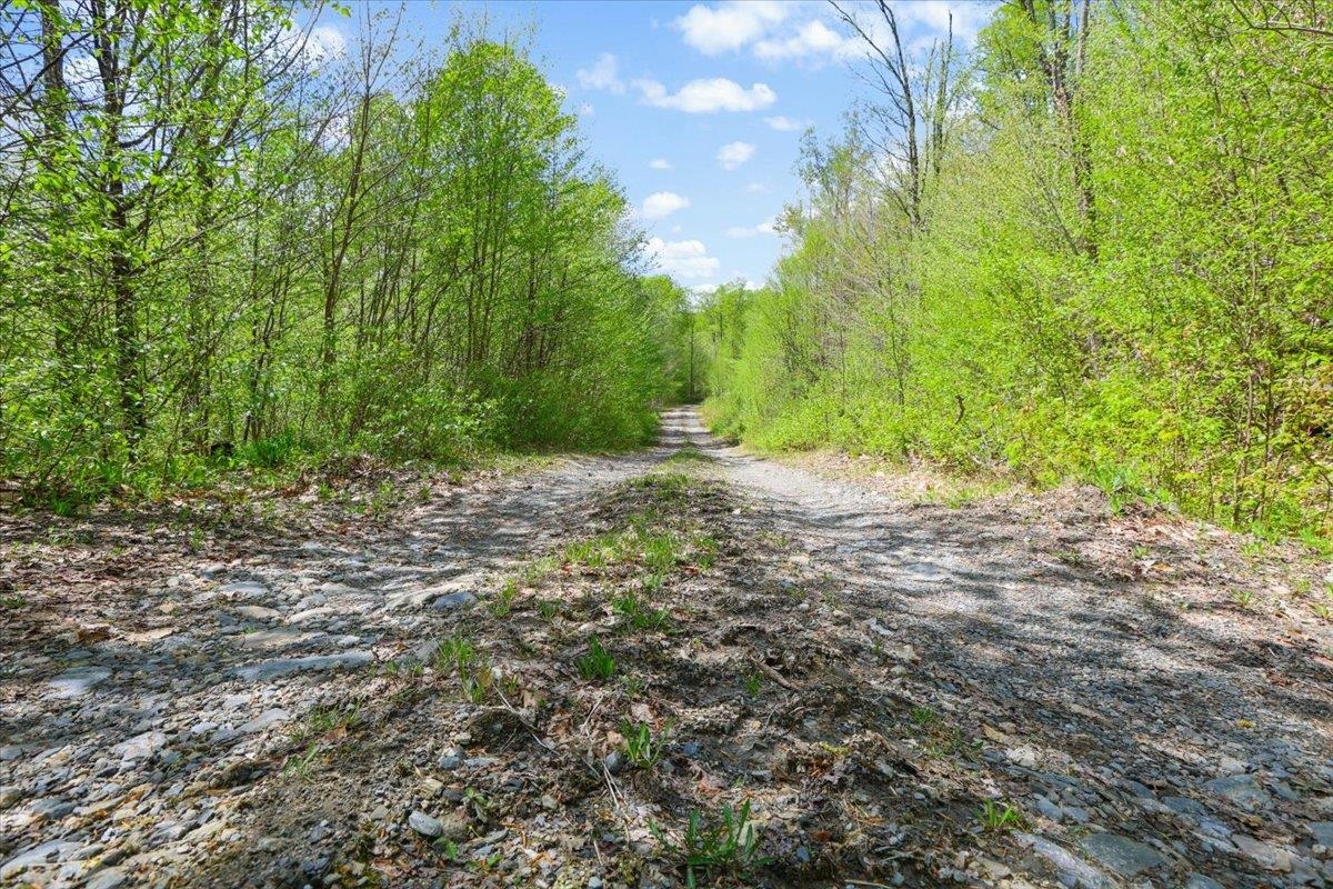 0 Mud Pond Pass Property Photo 29