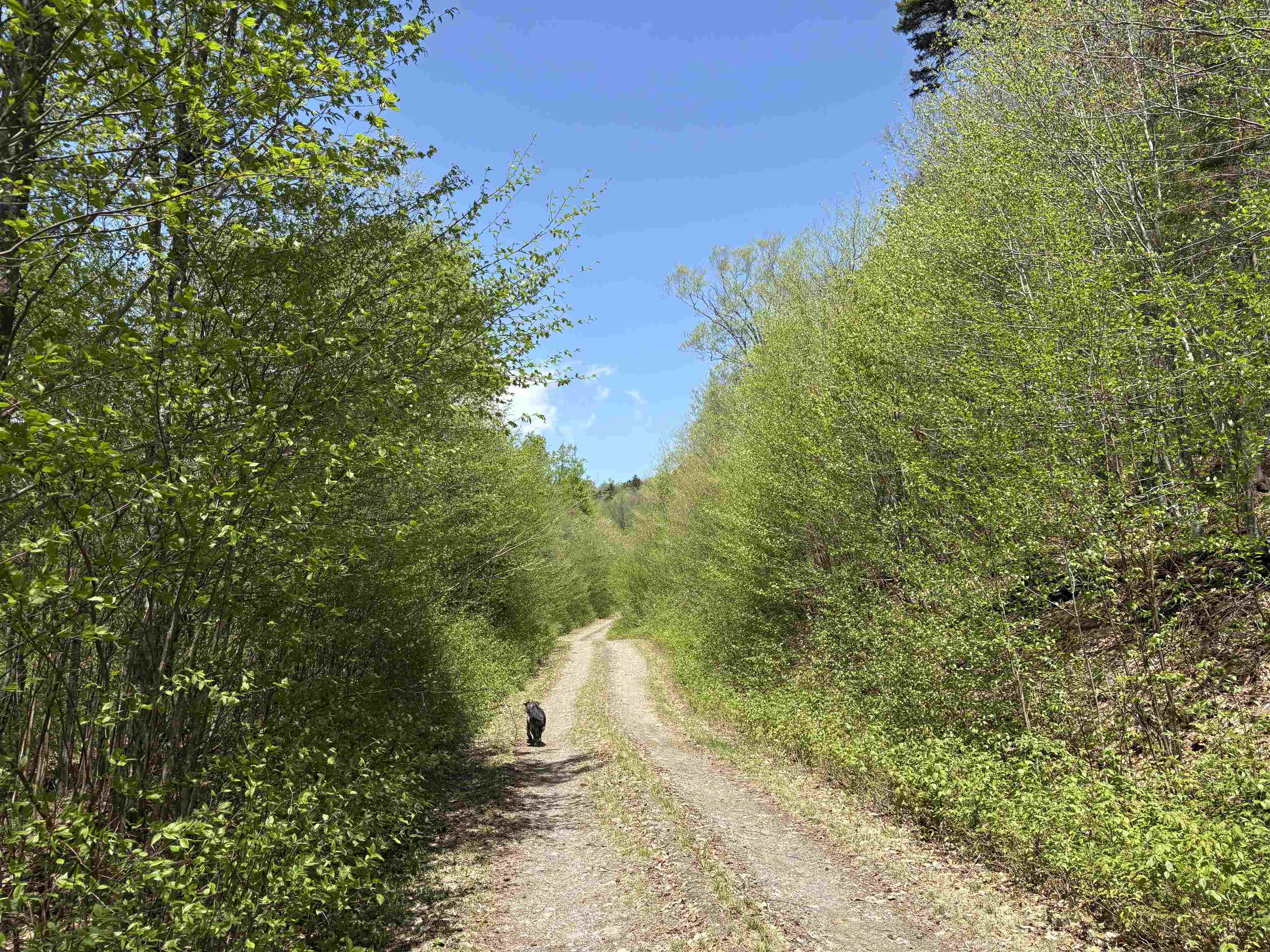 0 Mud Pond Pass Property Photo 33
