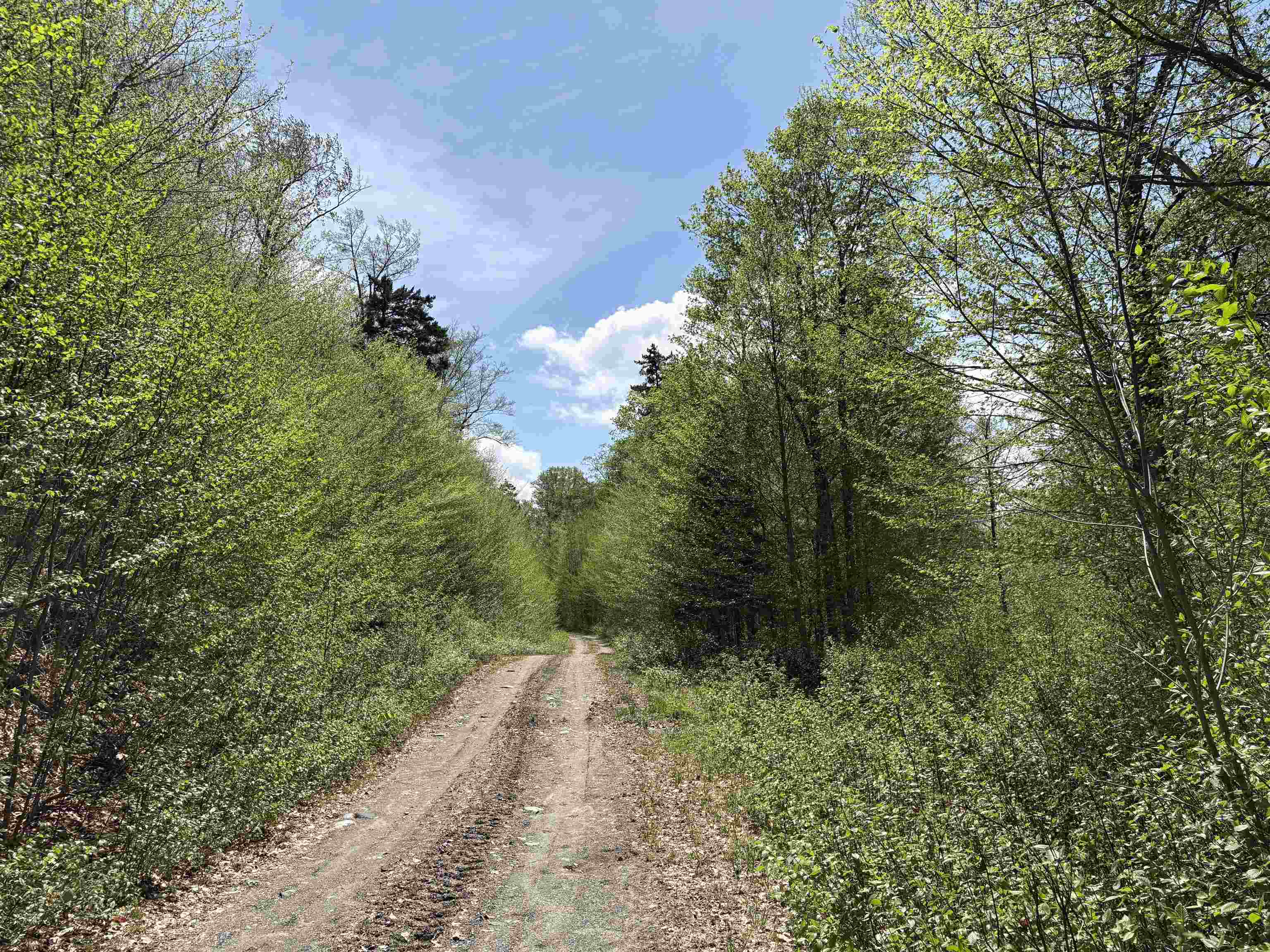 0 Mud Pond Pass Property Photo 34