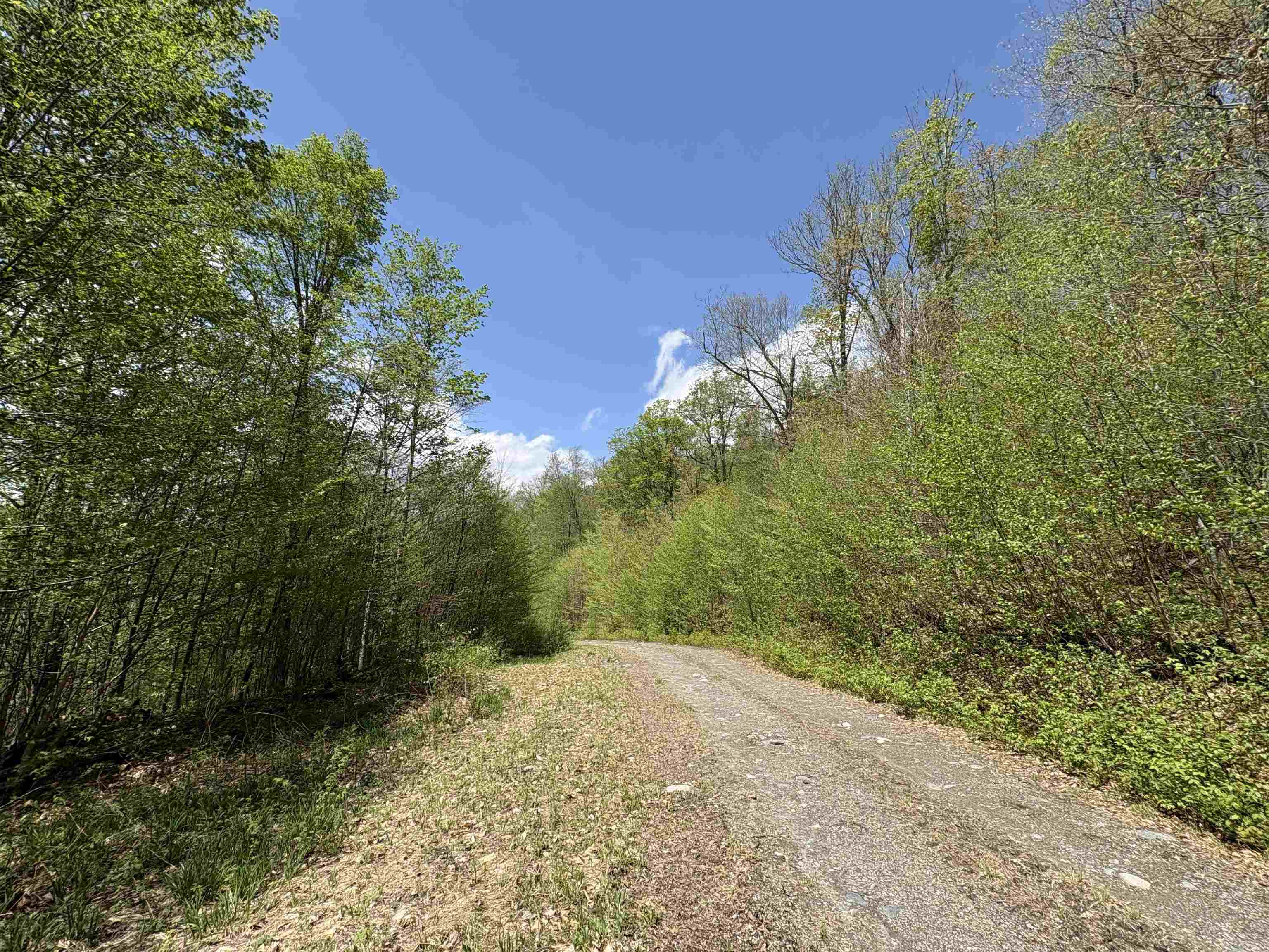 0 Mud Pond Pass Property Photo 36