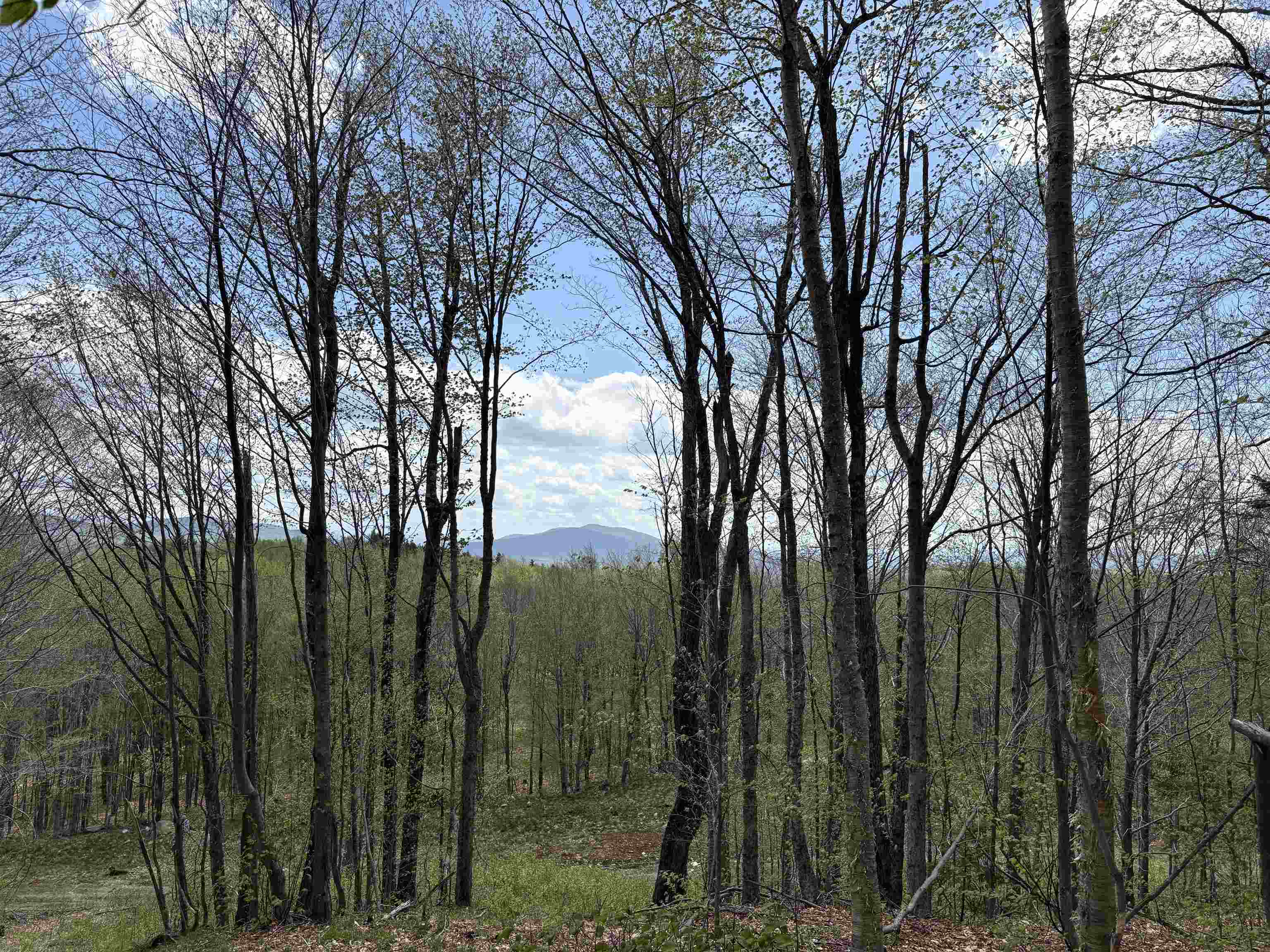 0 Mud Pond Pass Property Photo 42