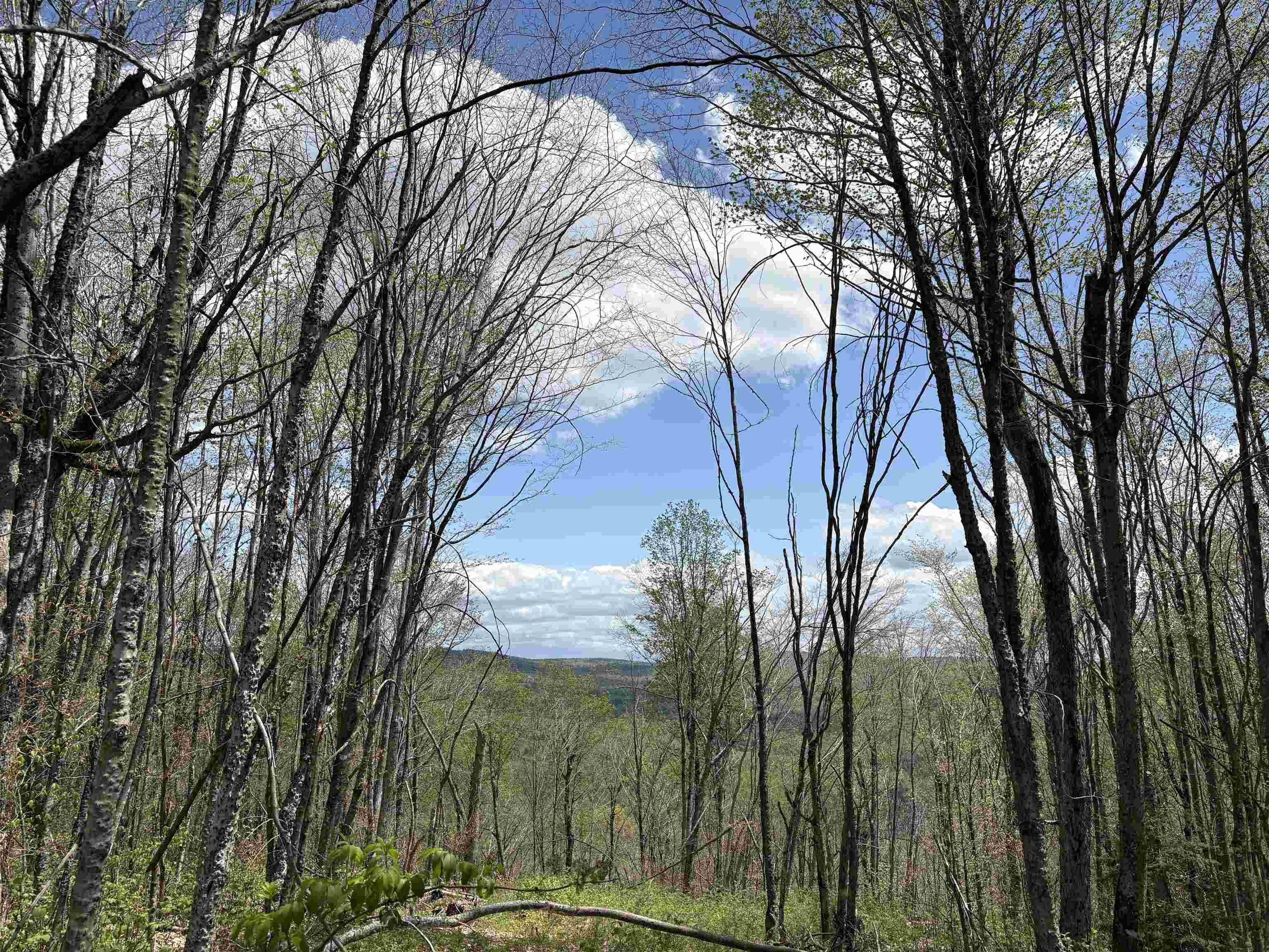 0 Mud Pond Pass Property Photo 45