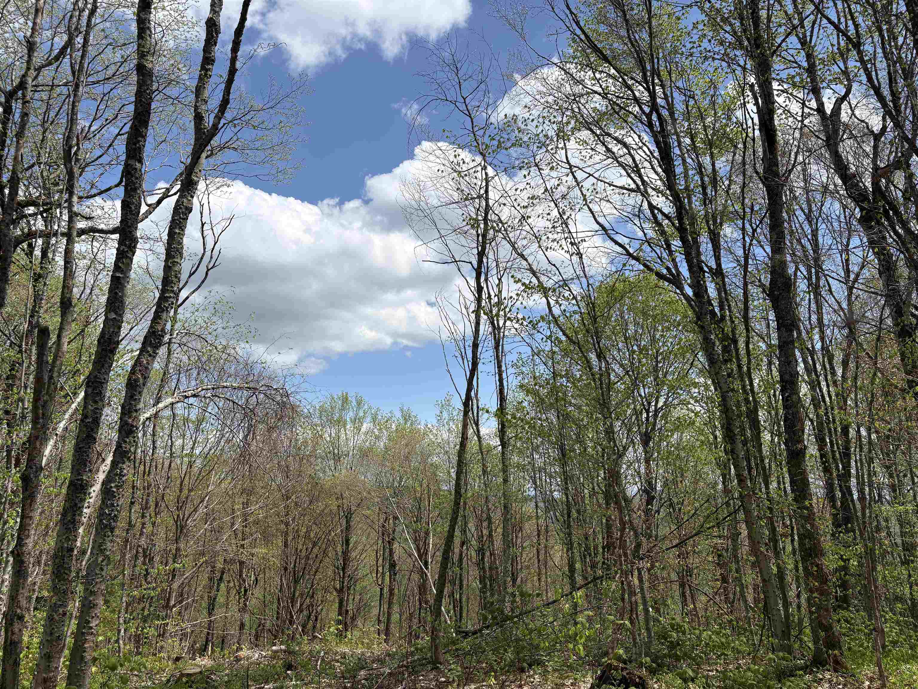 0 Mud Pond Pass Property Photo 46