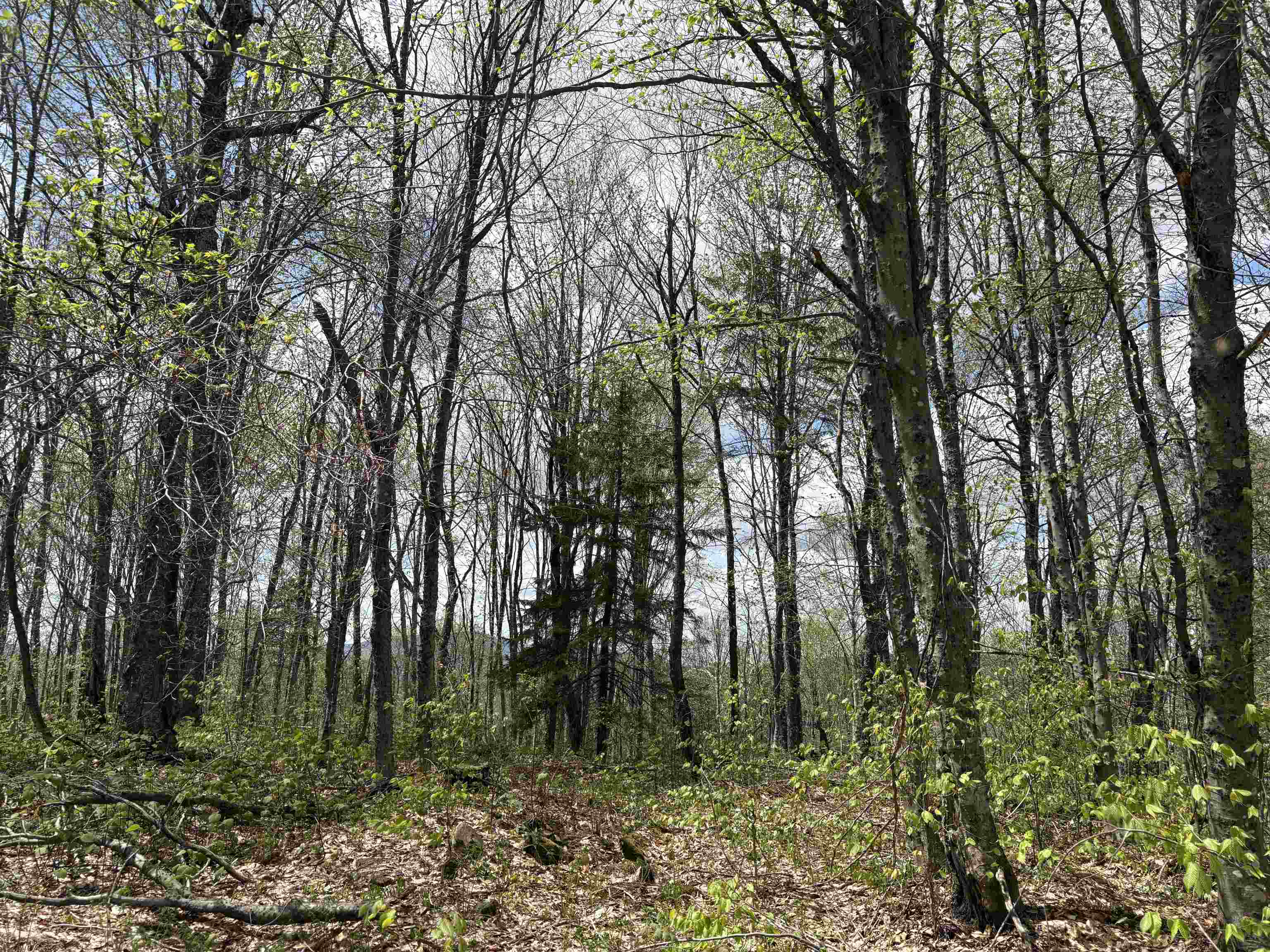 0 Mud Pond Pass Property Photo 47