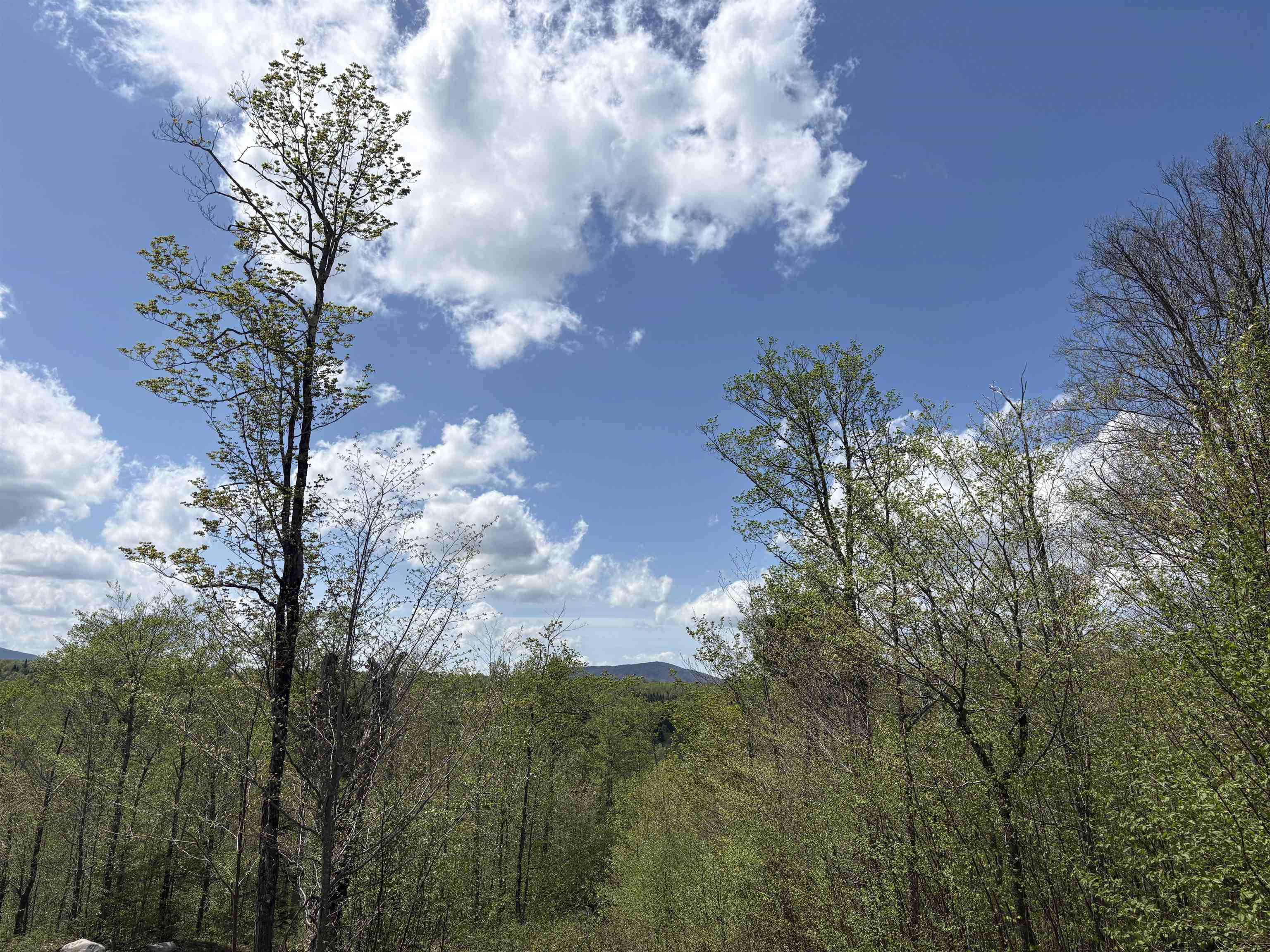 0 Mud Pond Pass Property Photo 49