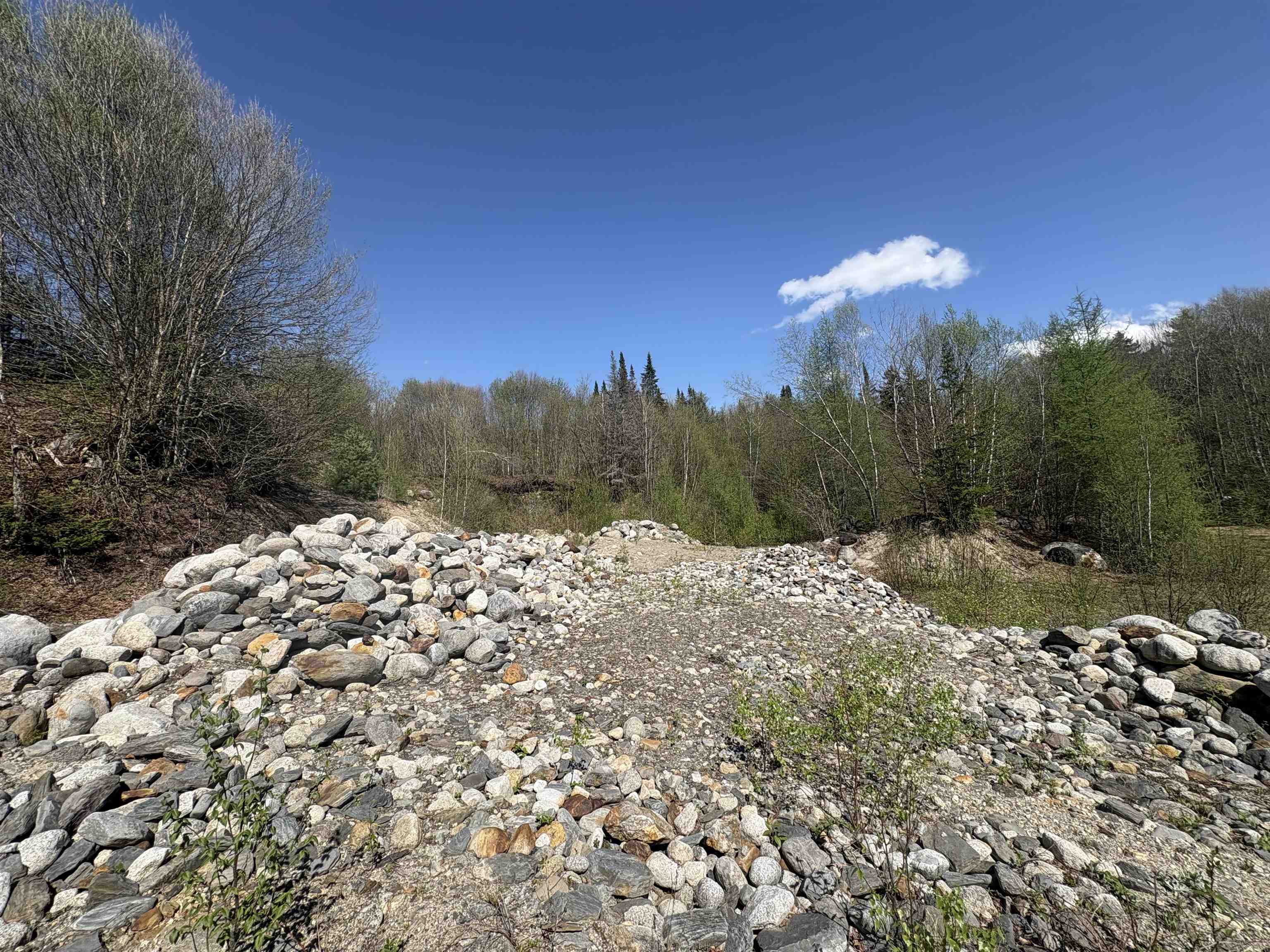 0 Mud Pond Pass Property Photo 50