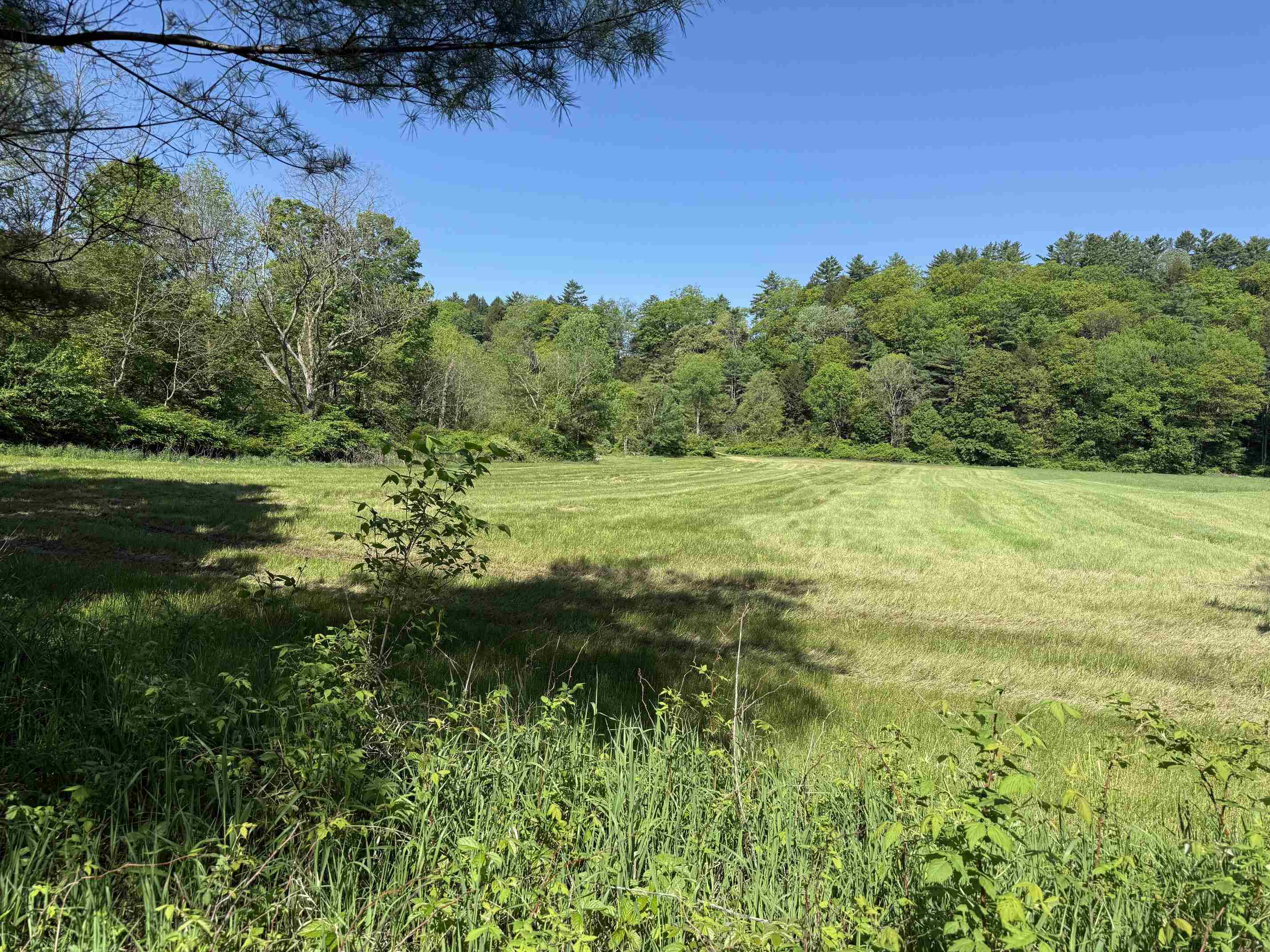 1857 Route 5 Property Photo 1