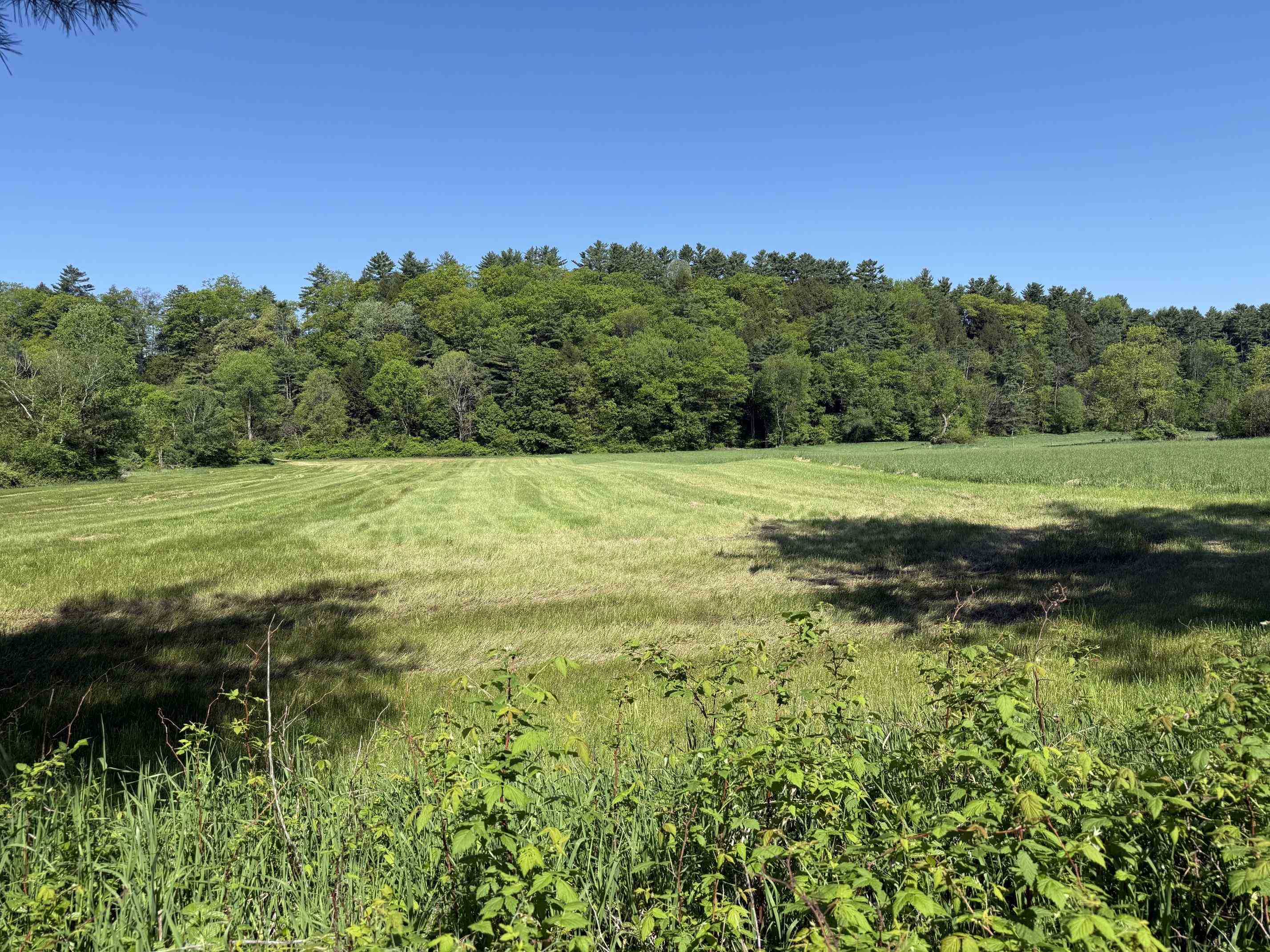 1857 Route 5 Property Photo 2