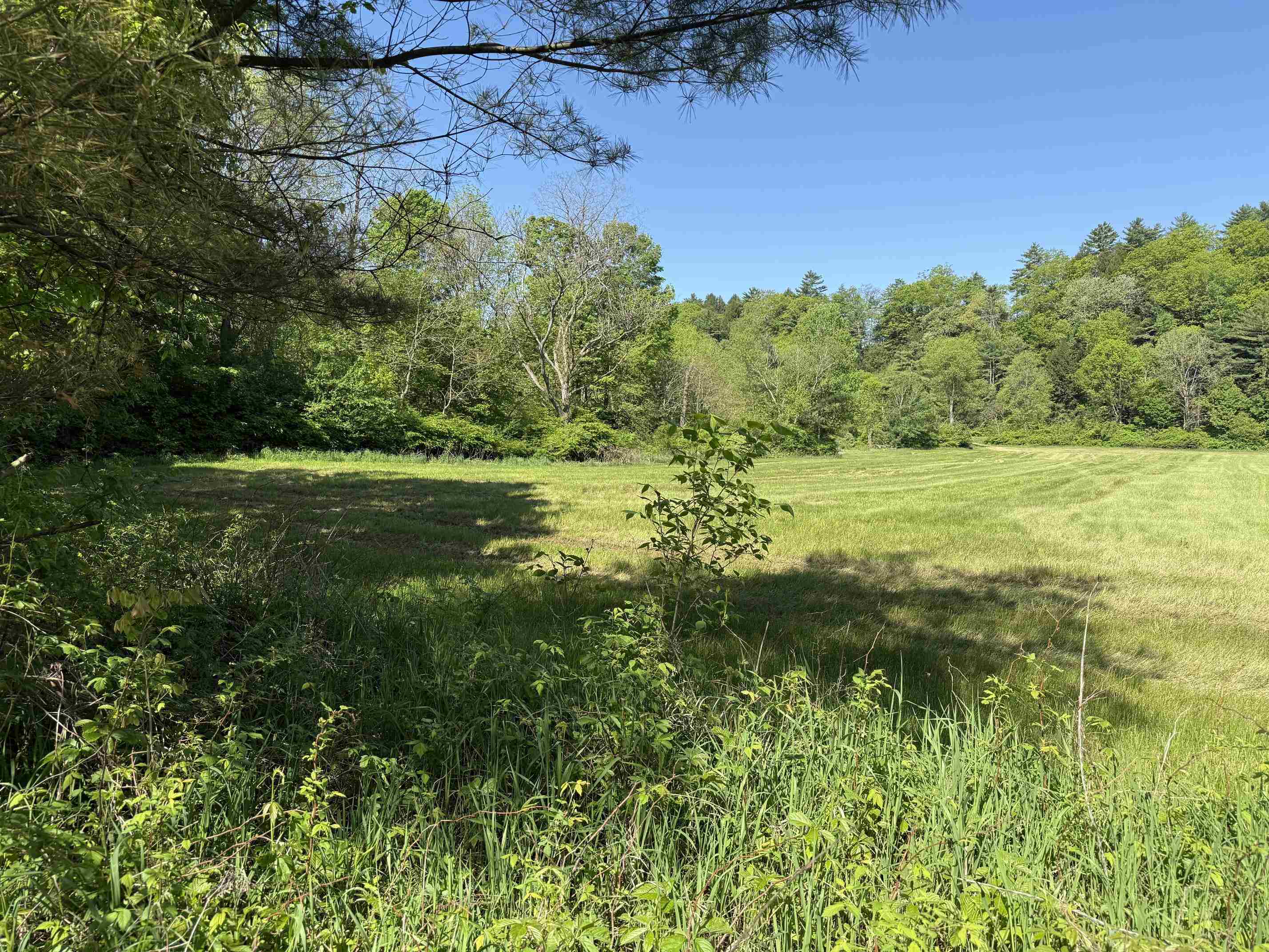 1857 Route 5 Property Photo 3