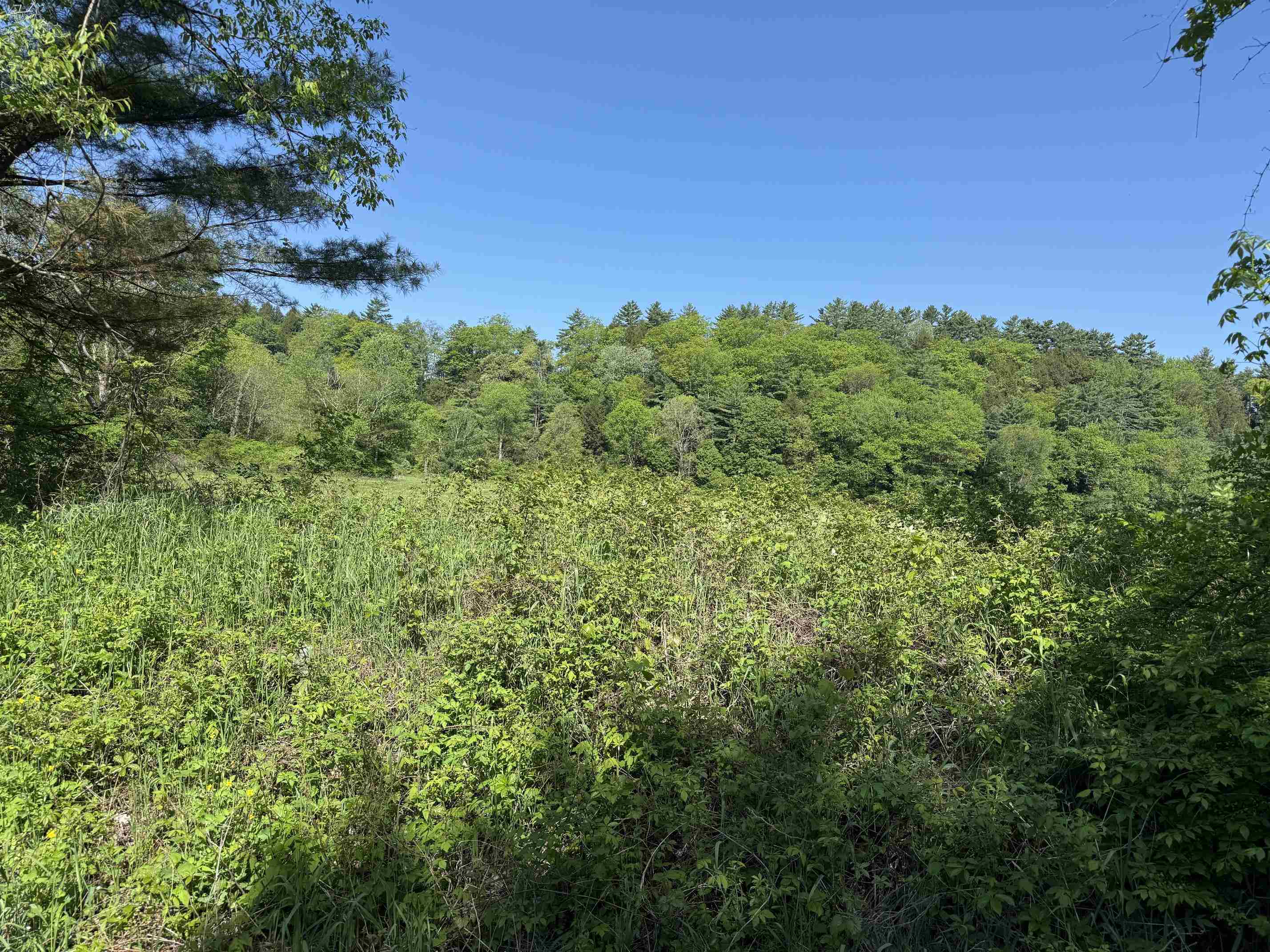 1857 Route 5 Property Photo 4