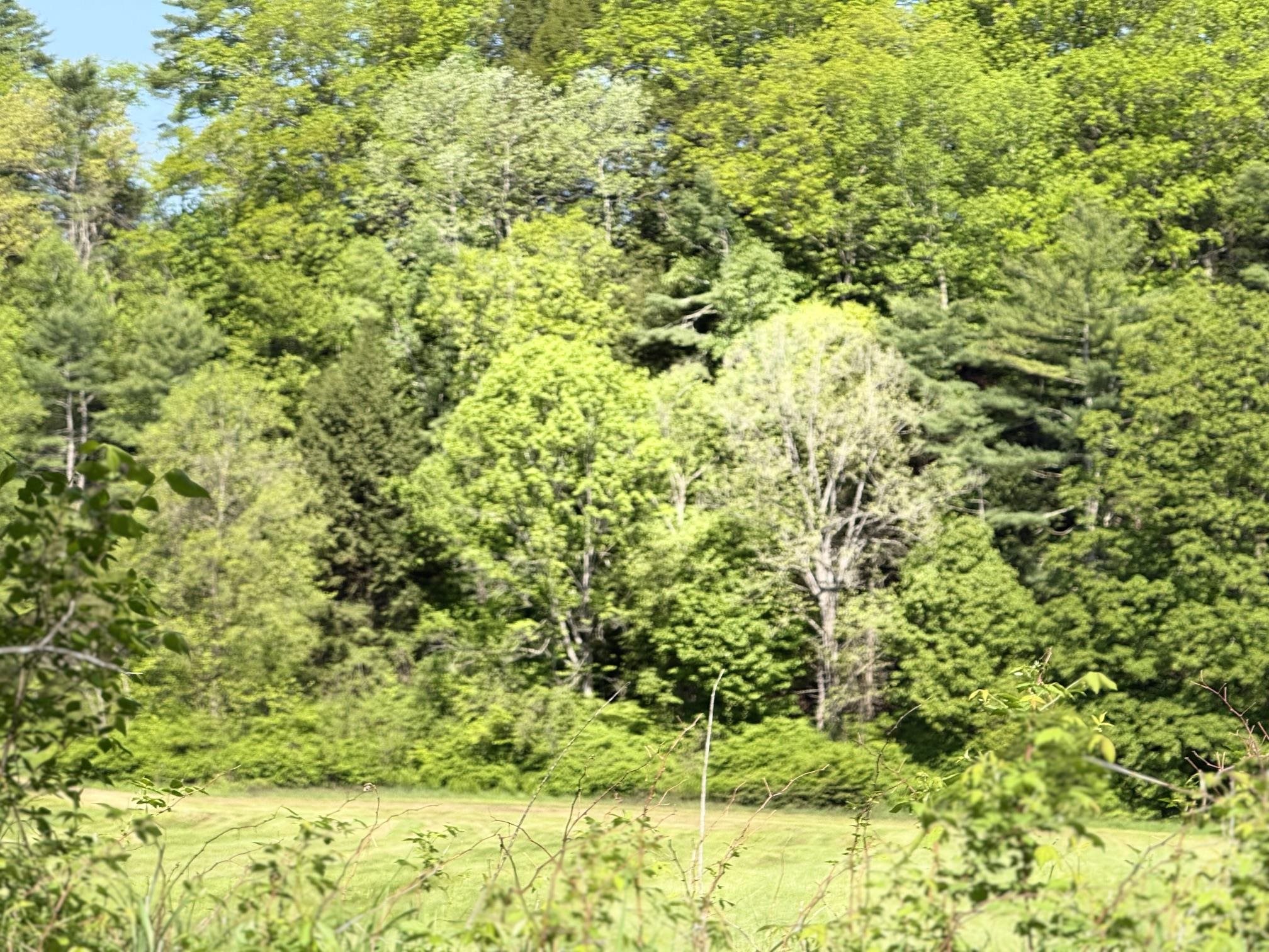 1857 Route 5 Property Photo 5