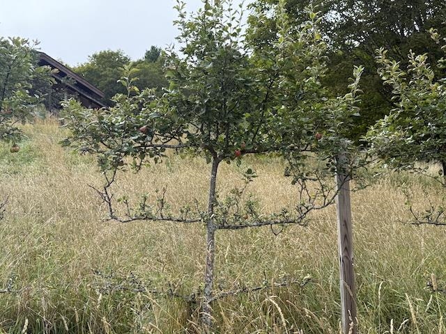 2208 Backway Road Property Photo 41