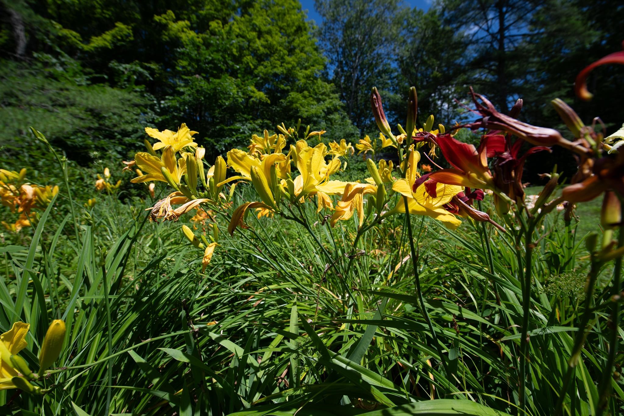 775 Winona Road Property Photo 45