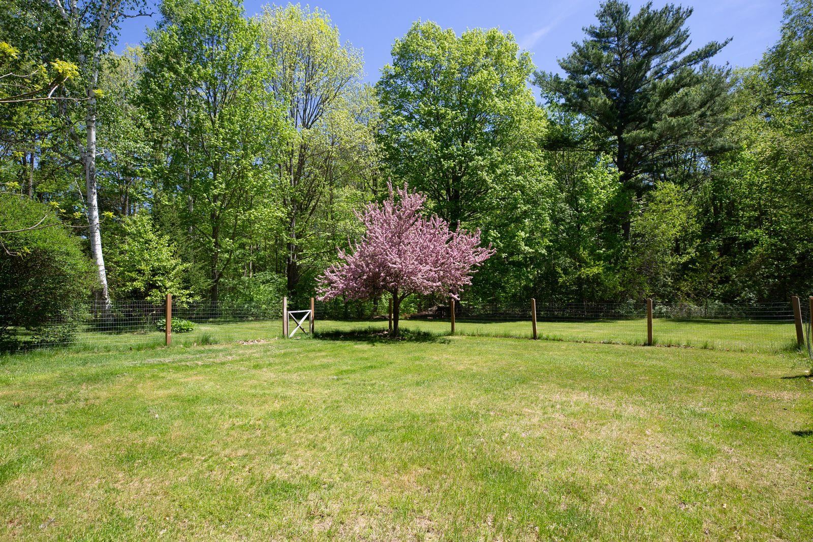 288 Woodward Road Property Photo 23