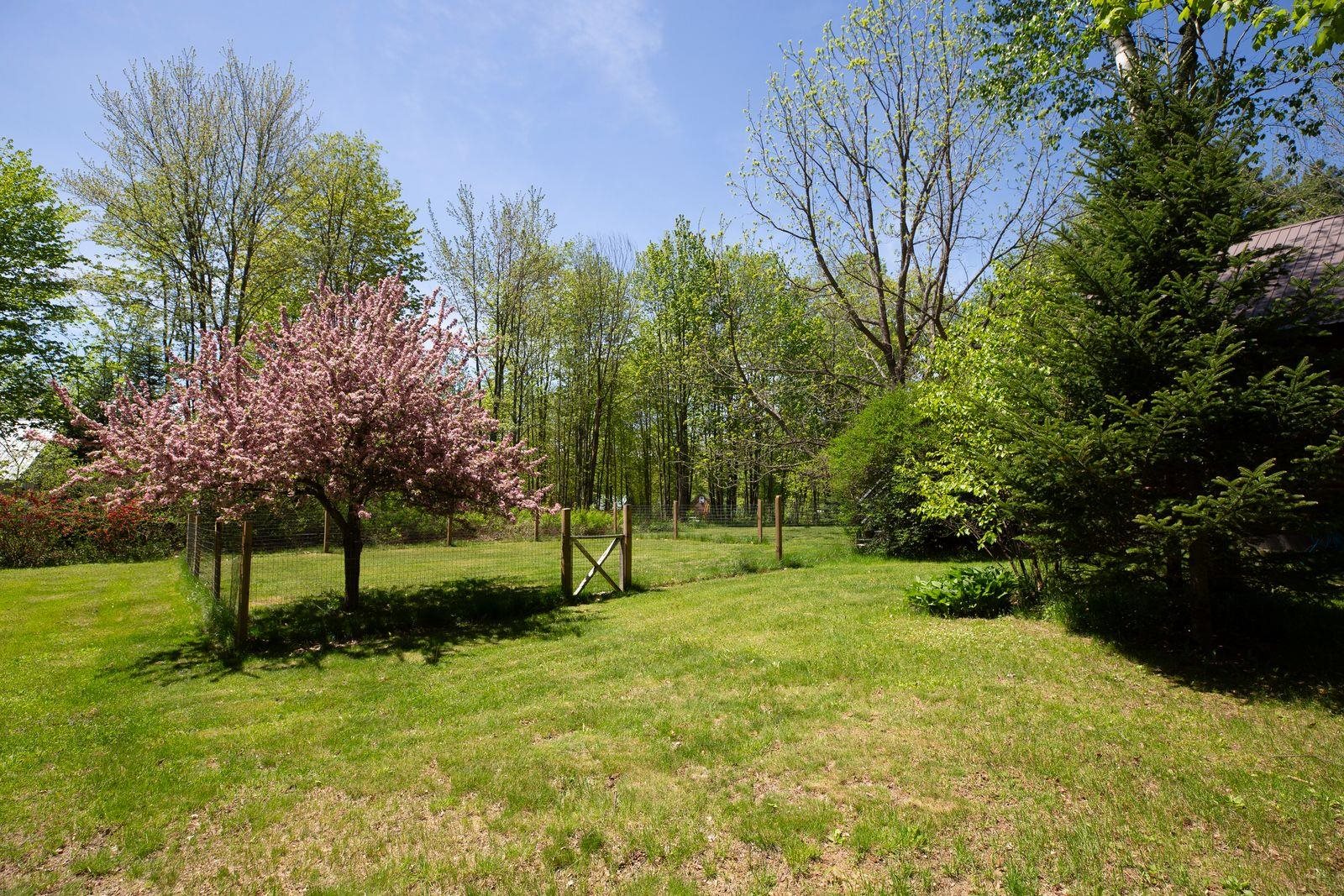 288 Woodward Road Property Photo 27