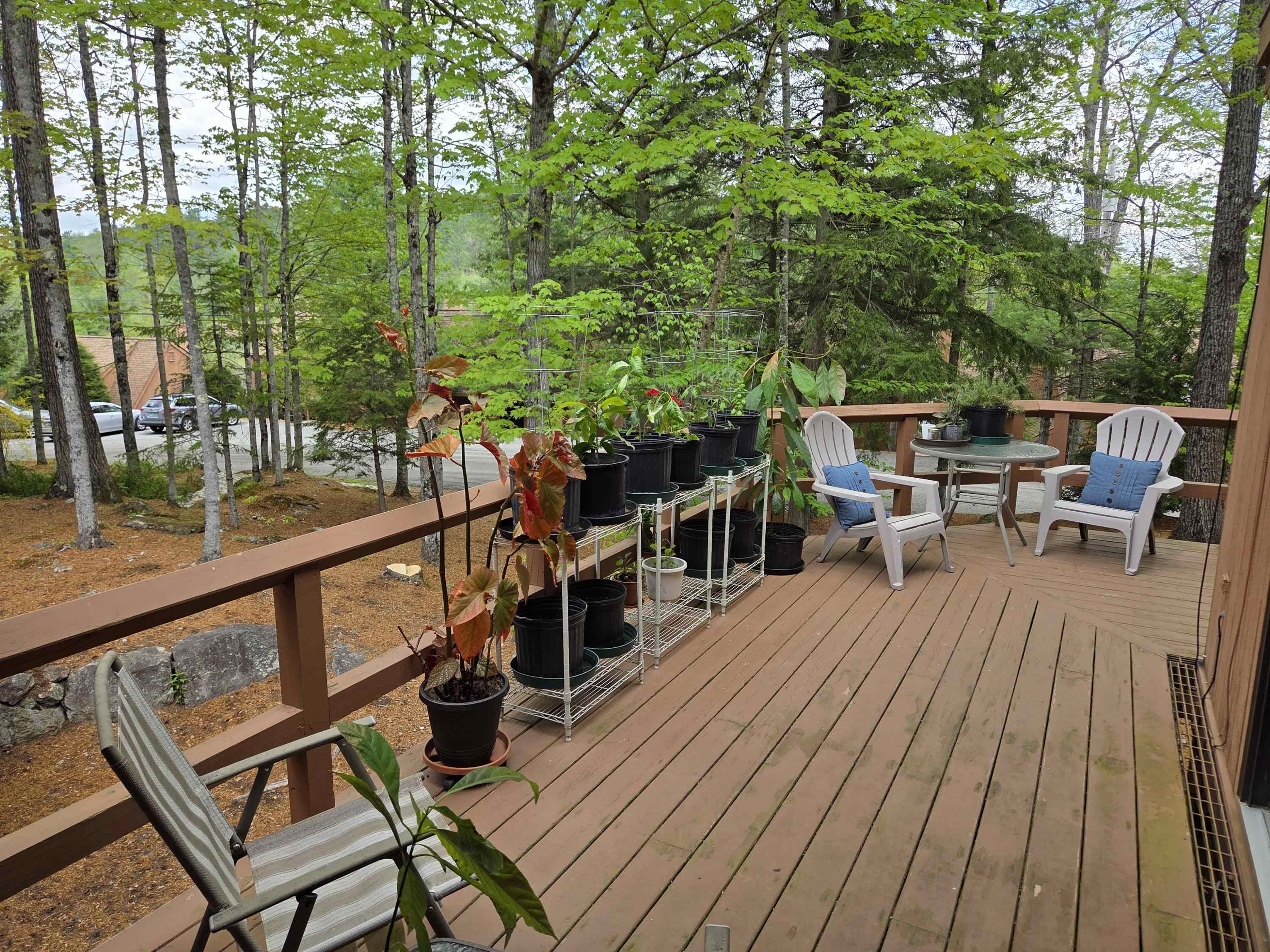 841 Cove Drive Property Photo 1