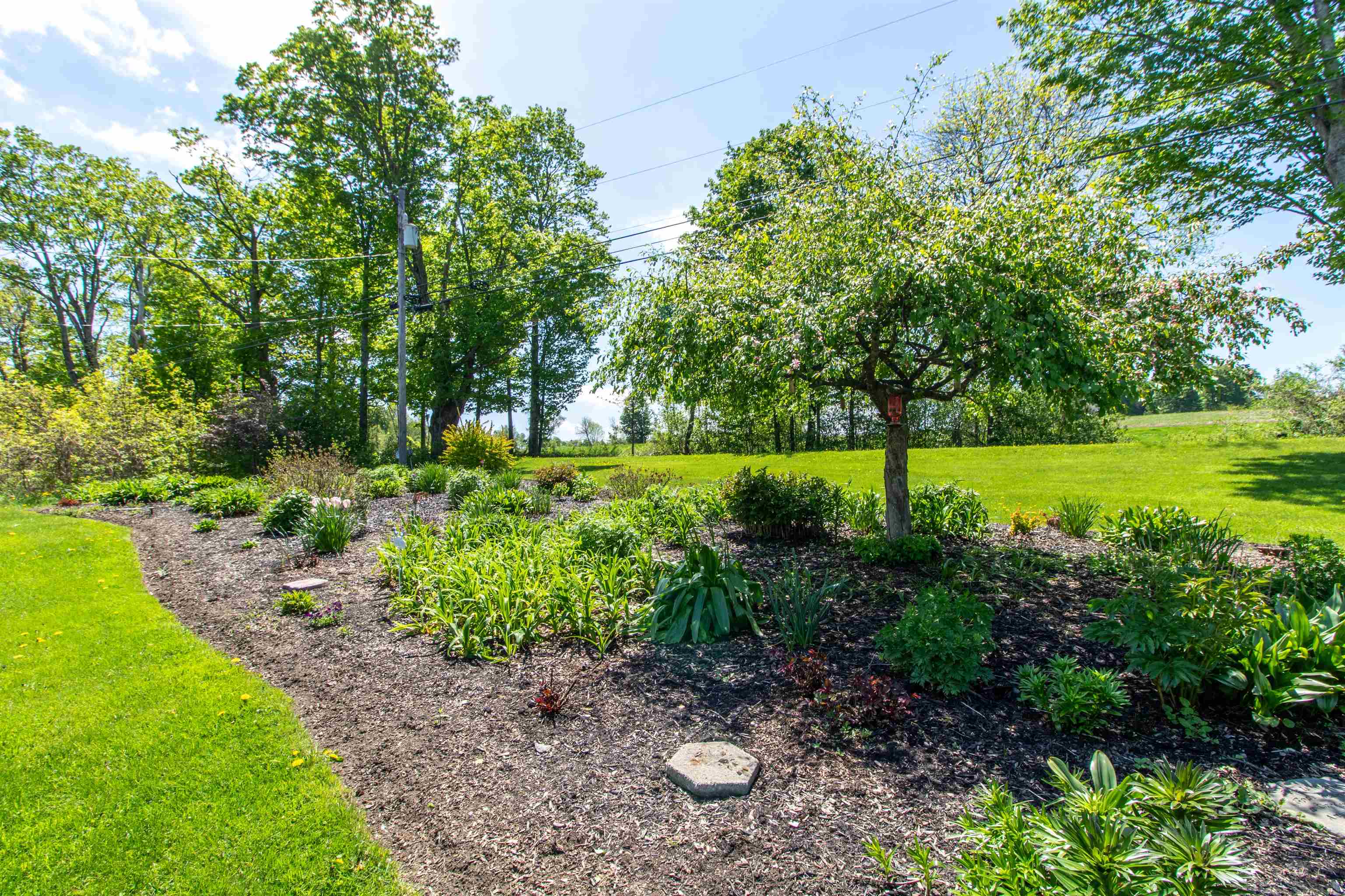 938 Stevens Road Property Photo 44