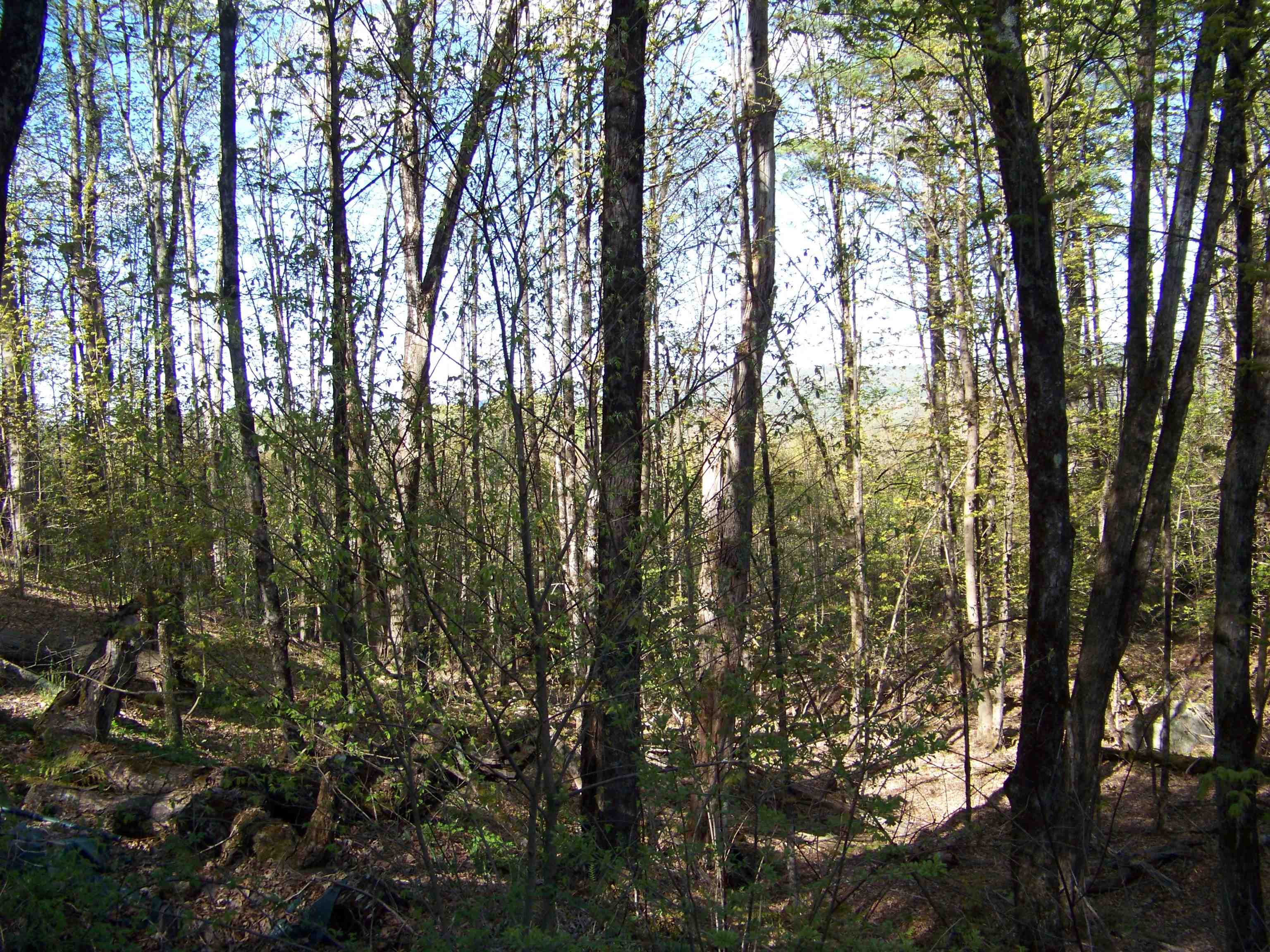 324 Sunrise Road Property Photo 5