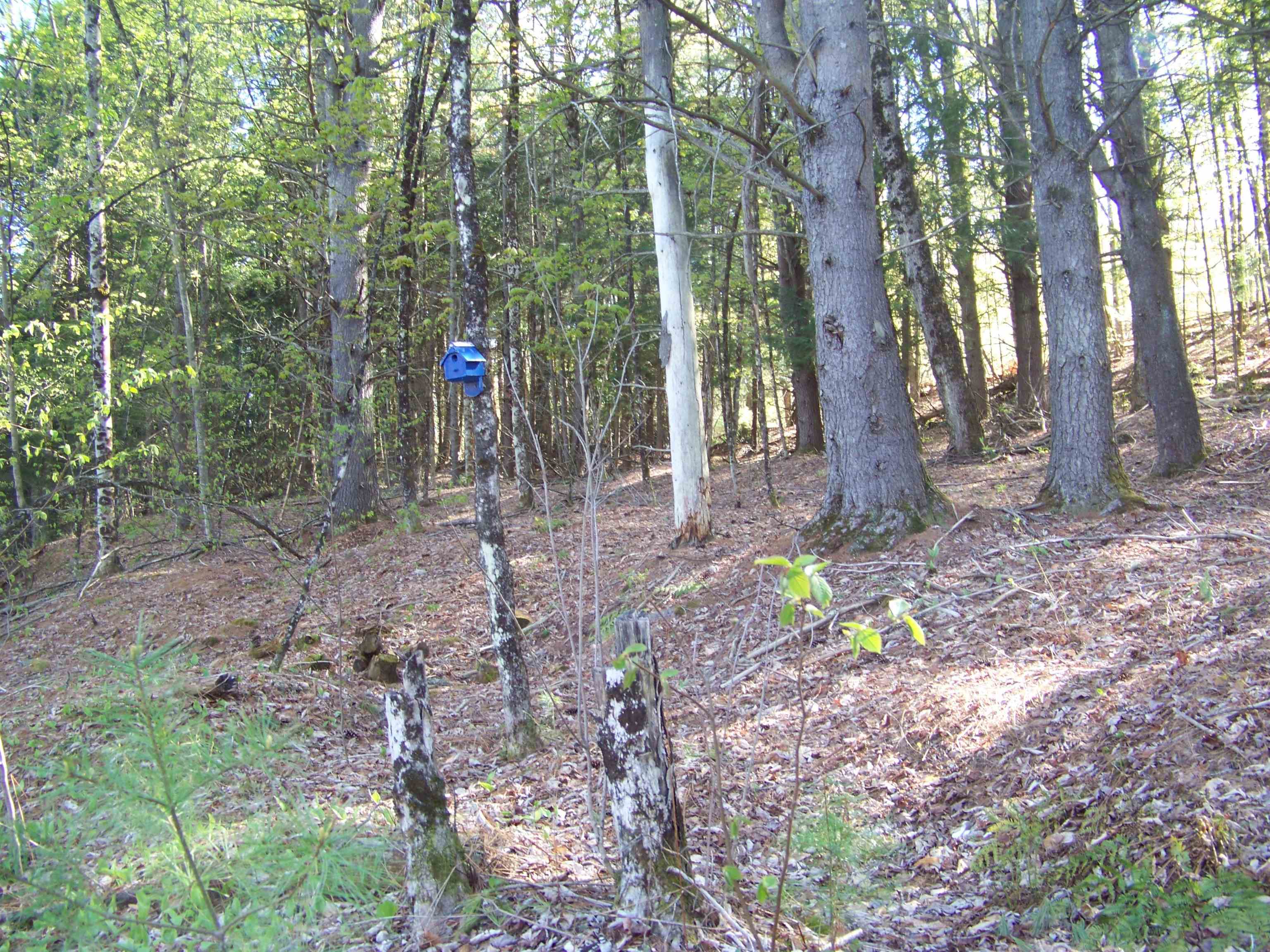 324 Sunrise Road Property Photo 6