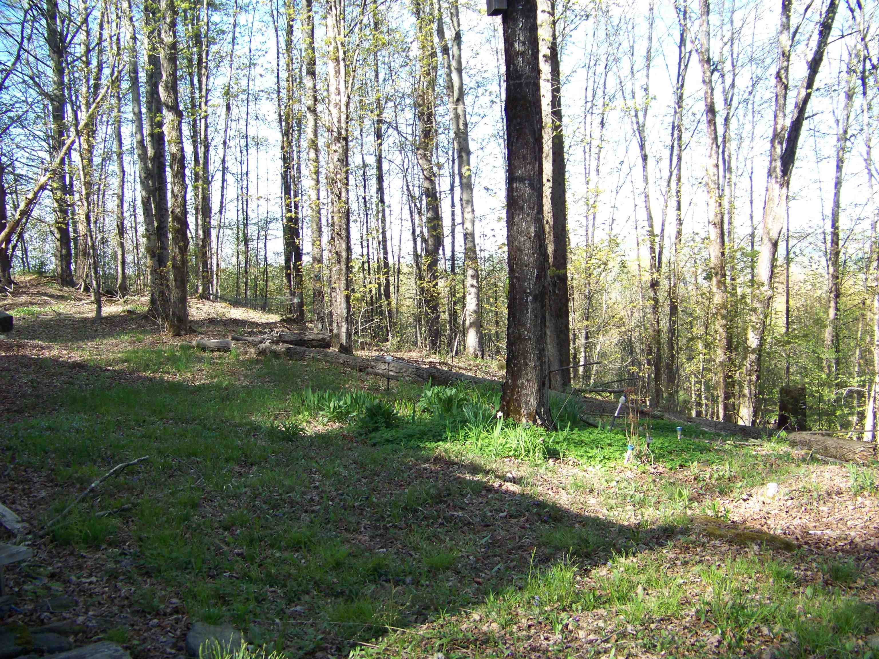 324 Sunrise Road Property Photo 7