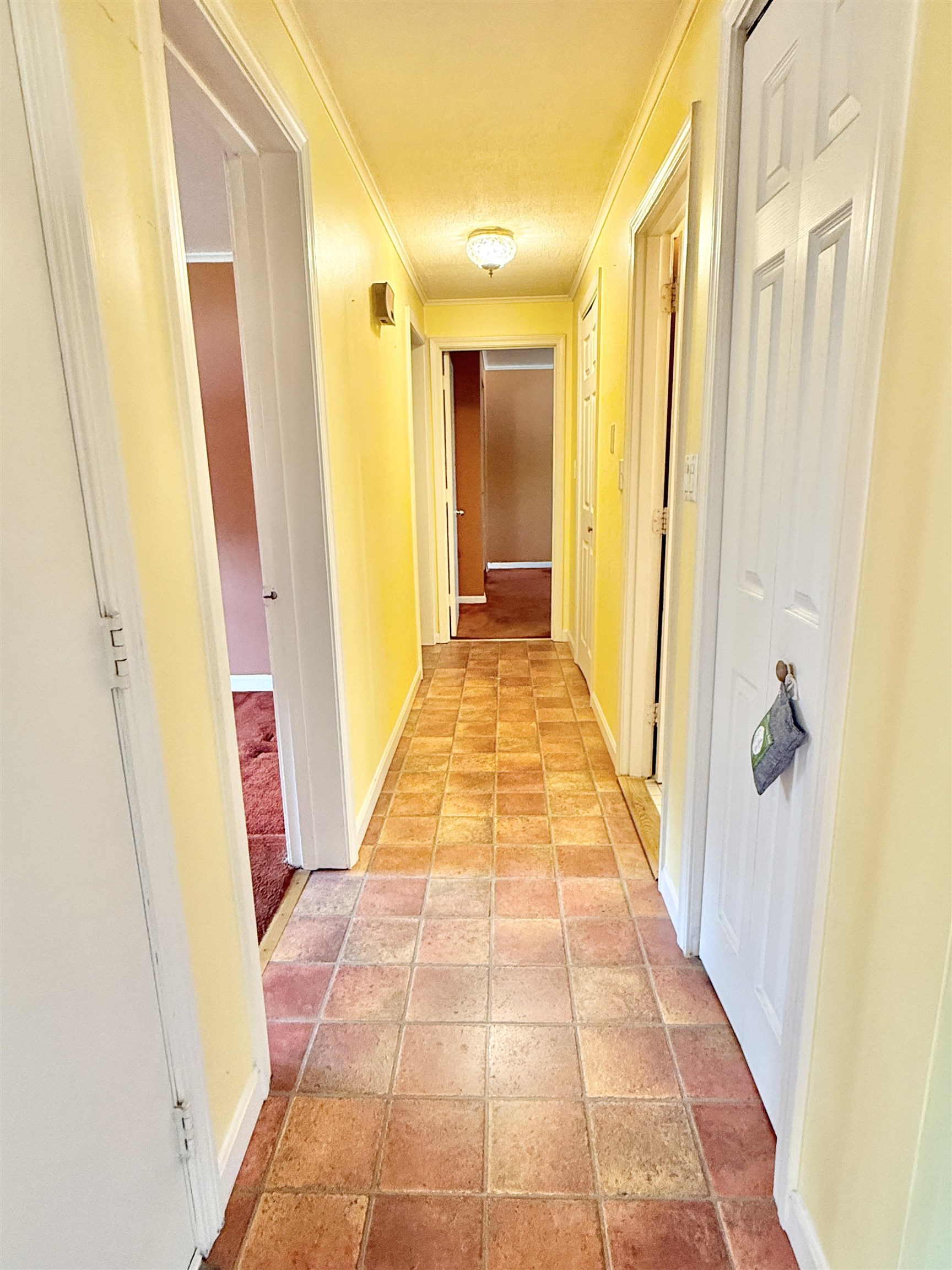 4 Rita Avenue Property Photo 16