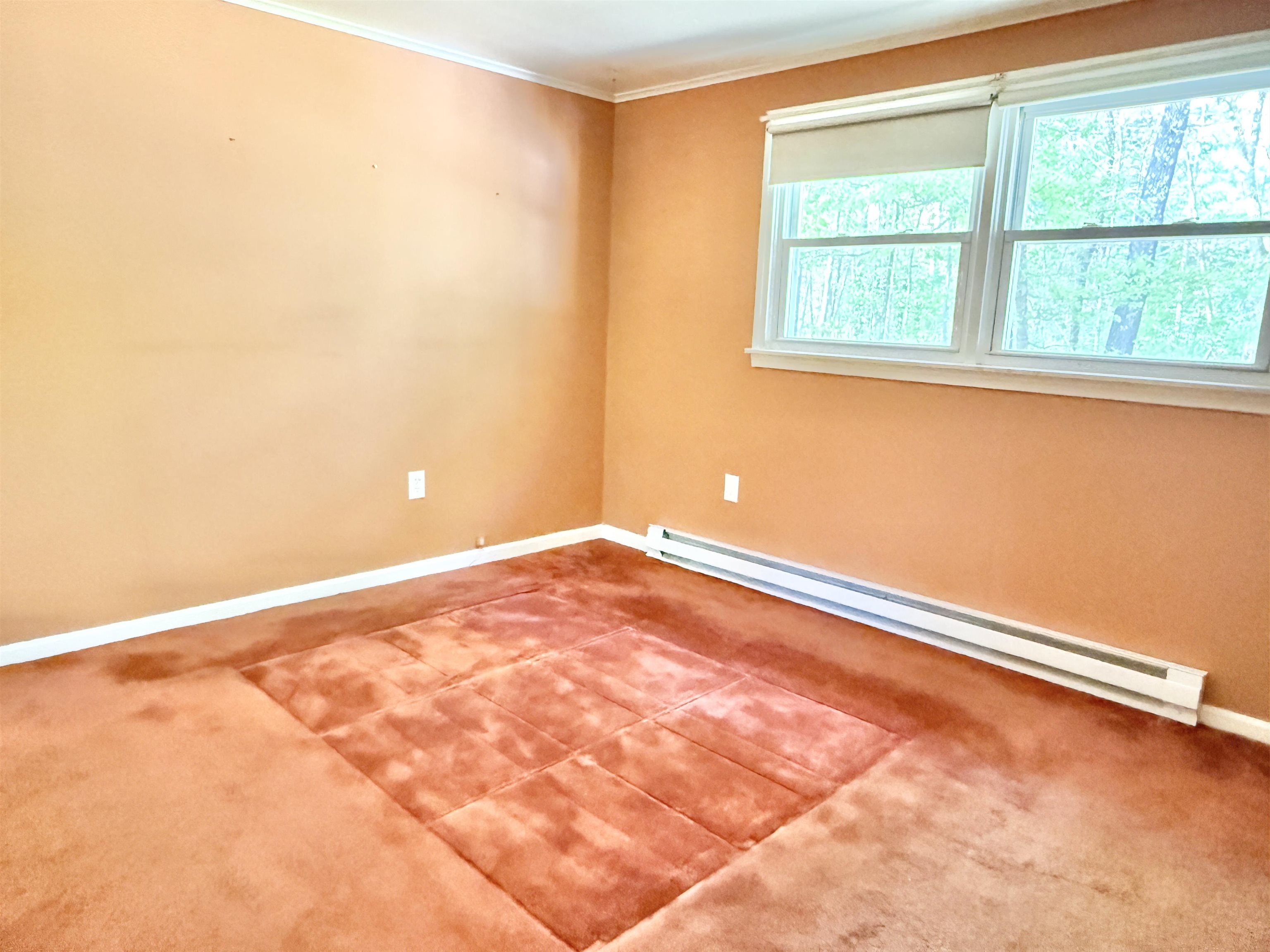 4 Rita Avenue Property Photo 34