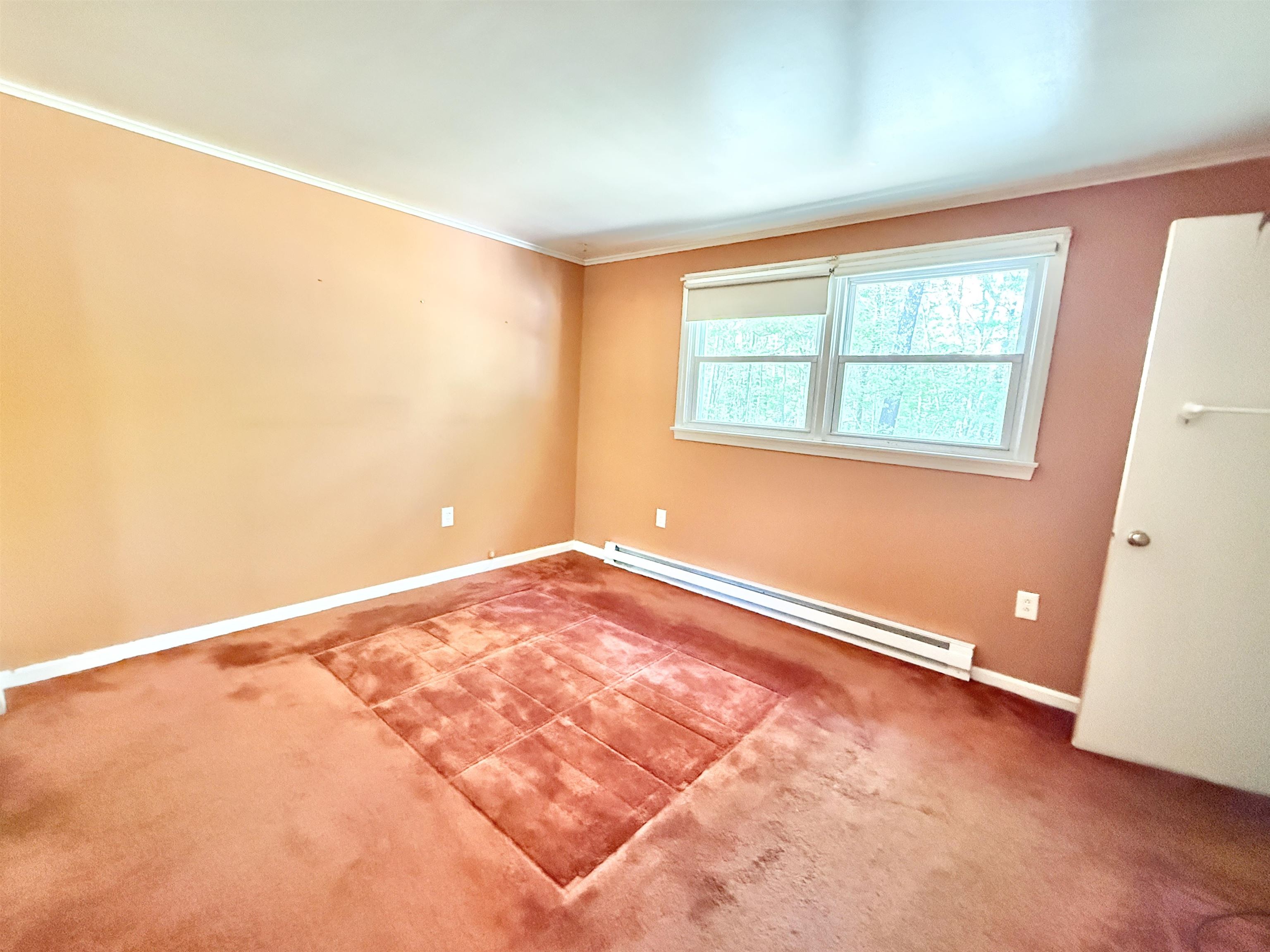 4 Rita Avenue Property Photo 35