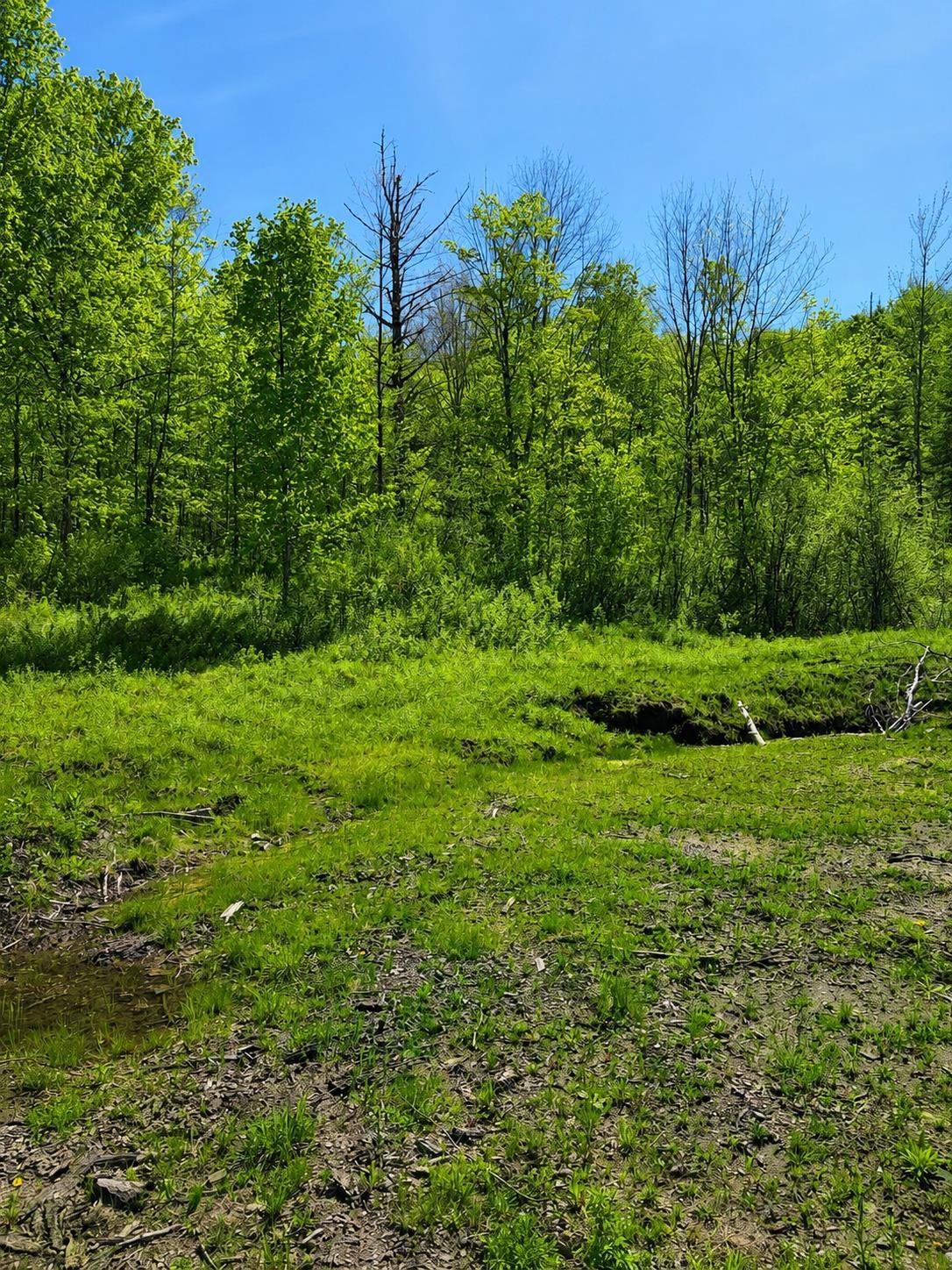 0 Blake Hill Road Property Photo 1