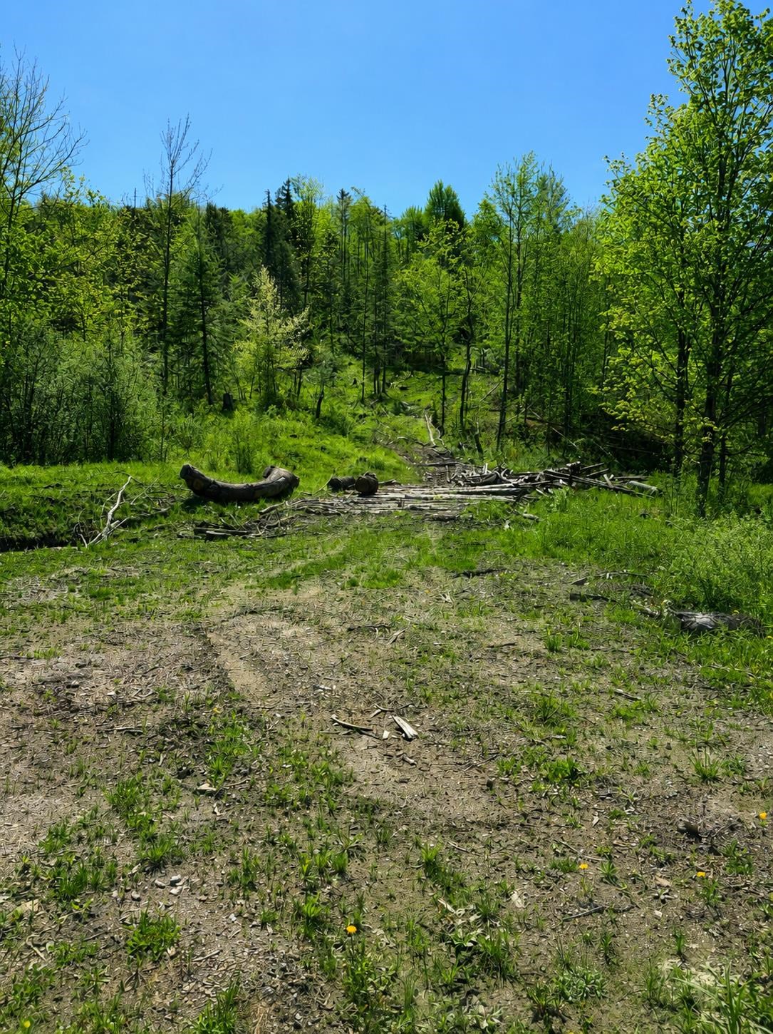 0 Blake Hill Road Property Photo 5