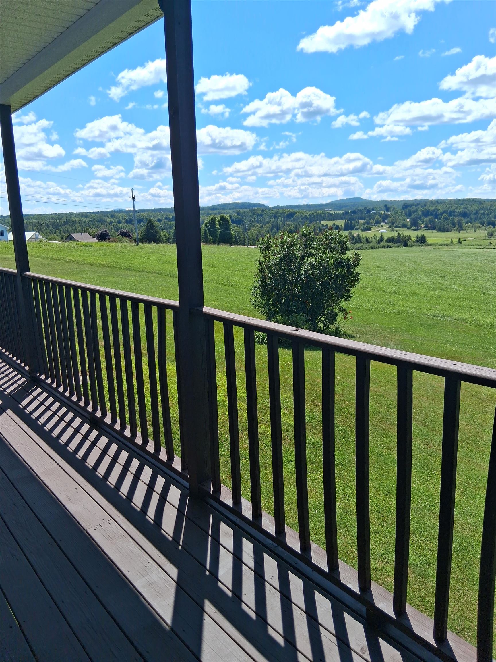 294 Lyon Road Property Photo 21