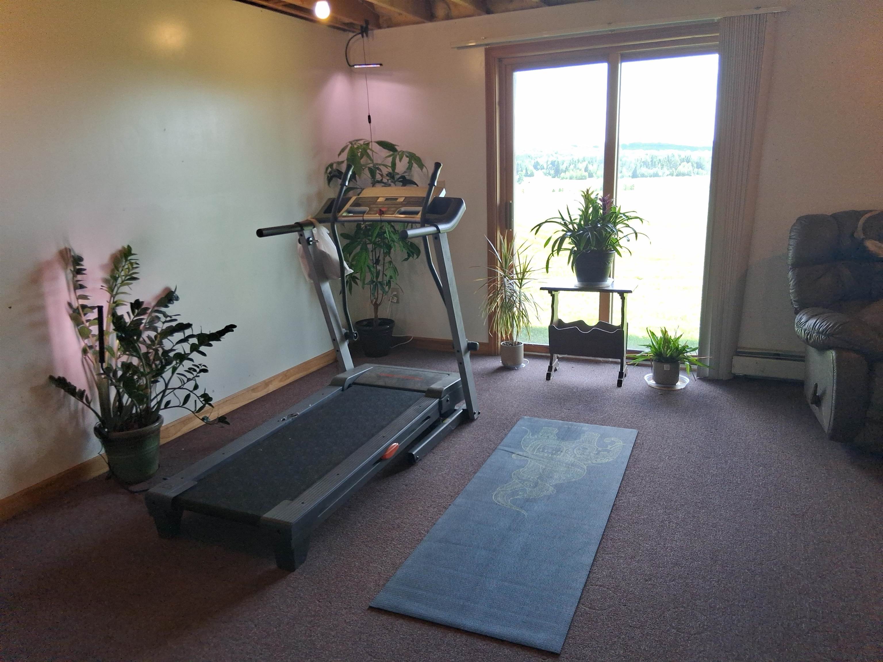 294 Lyon Road Property Photo 50