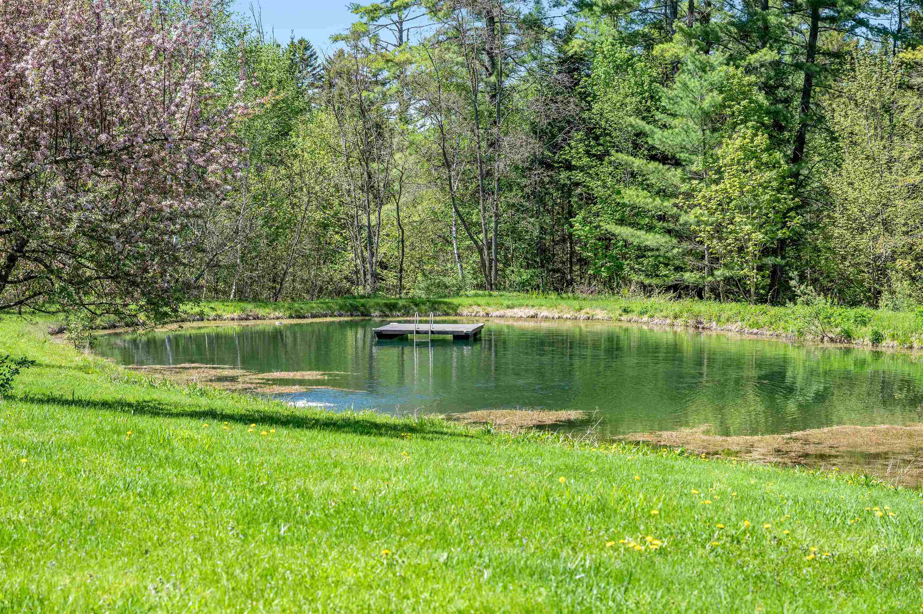 87 Bailey Pond Road Property Photo 44