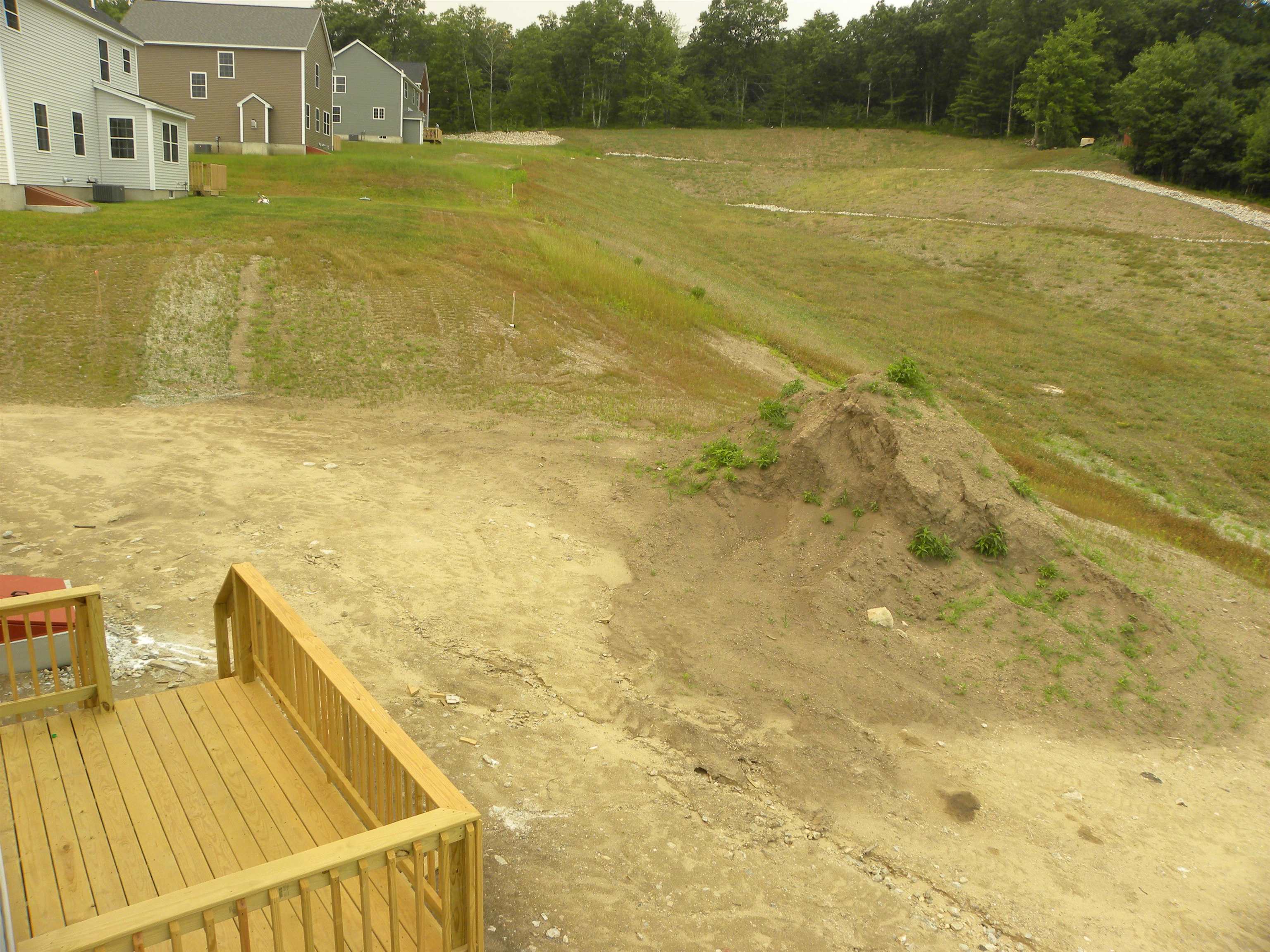 318 Karatzas Avenue Property Photo 13