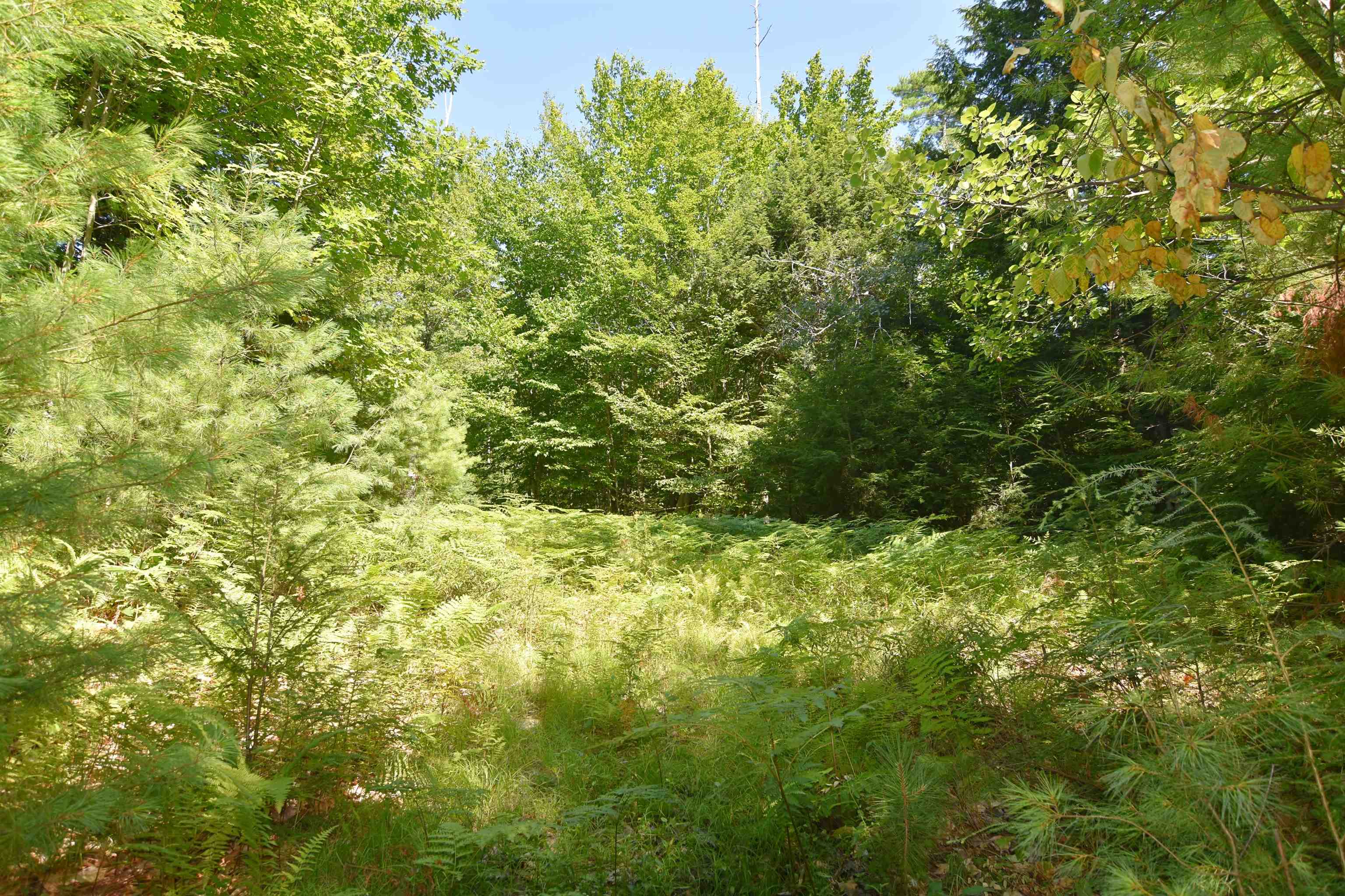 72 Conway Road Property Photo 23