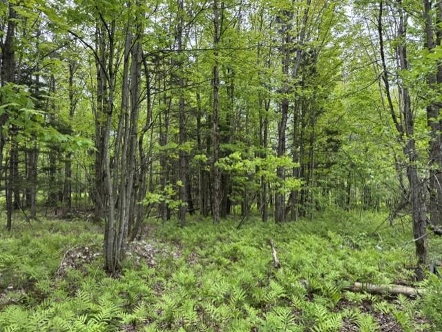 200 Coits Gore Road Property Photo 2